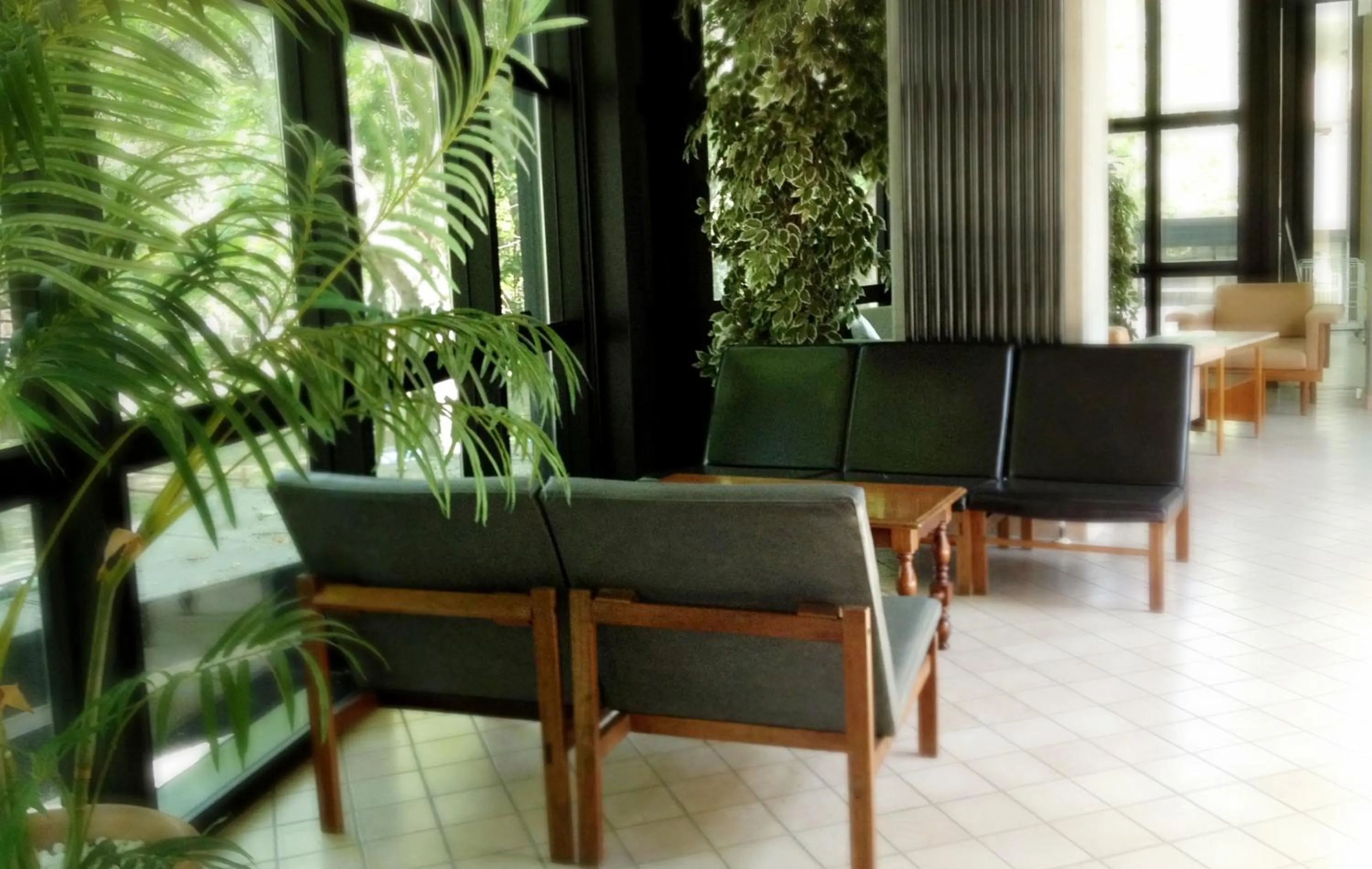 Communal lounge/ TV room in Hotel Numi & Medusa