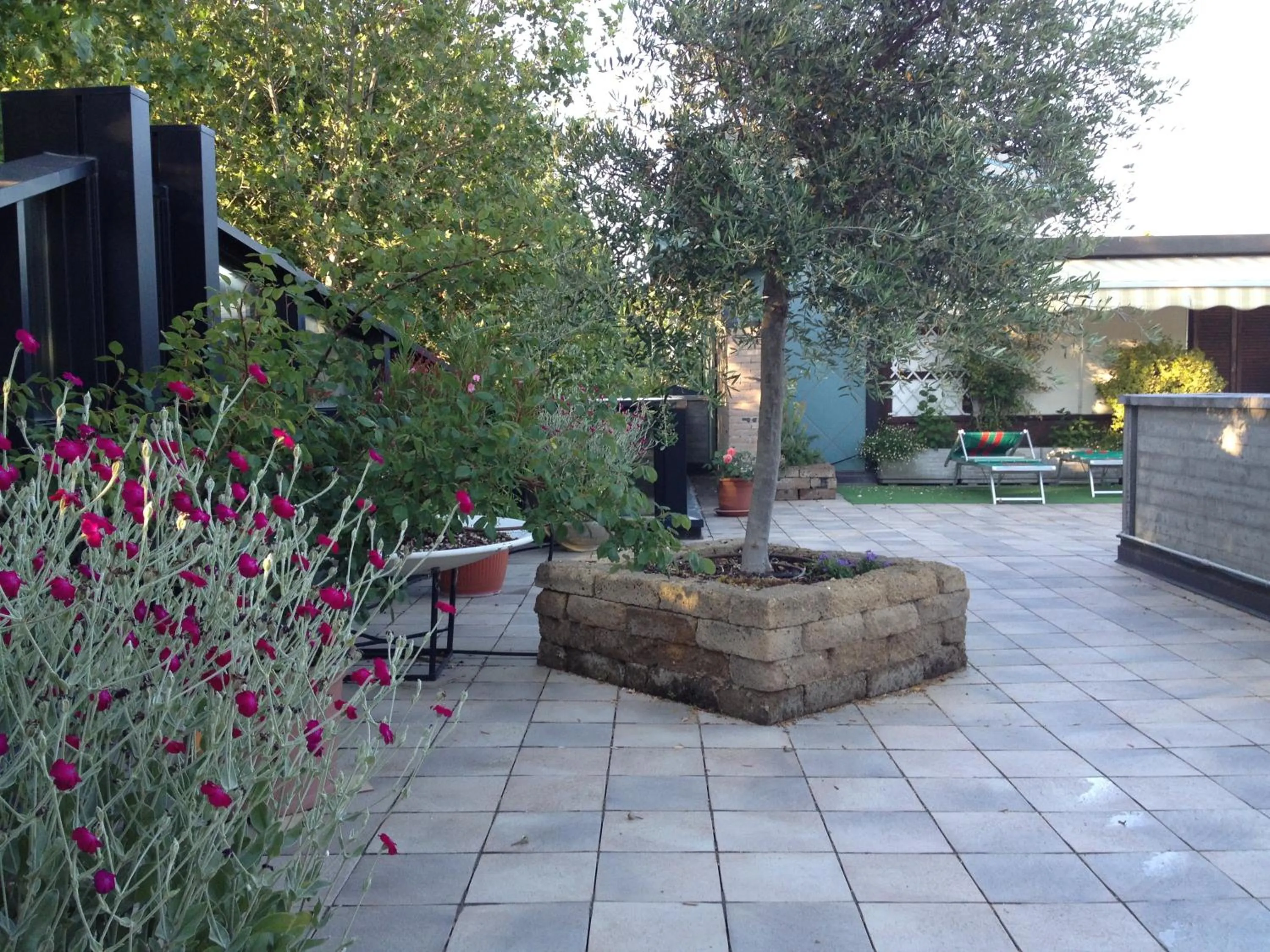Balcony/Terrace in Hotel Numi & Medusa