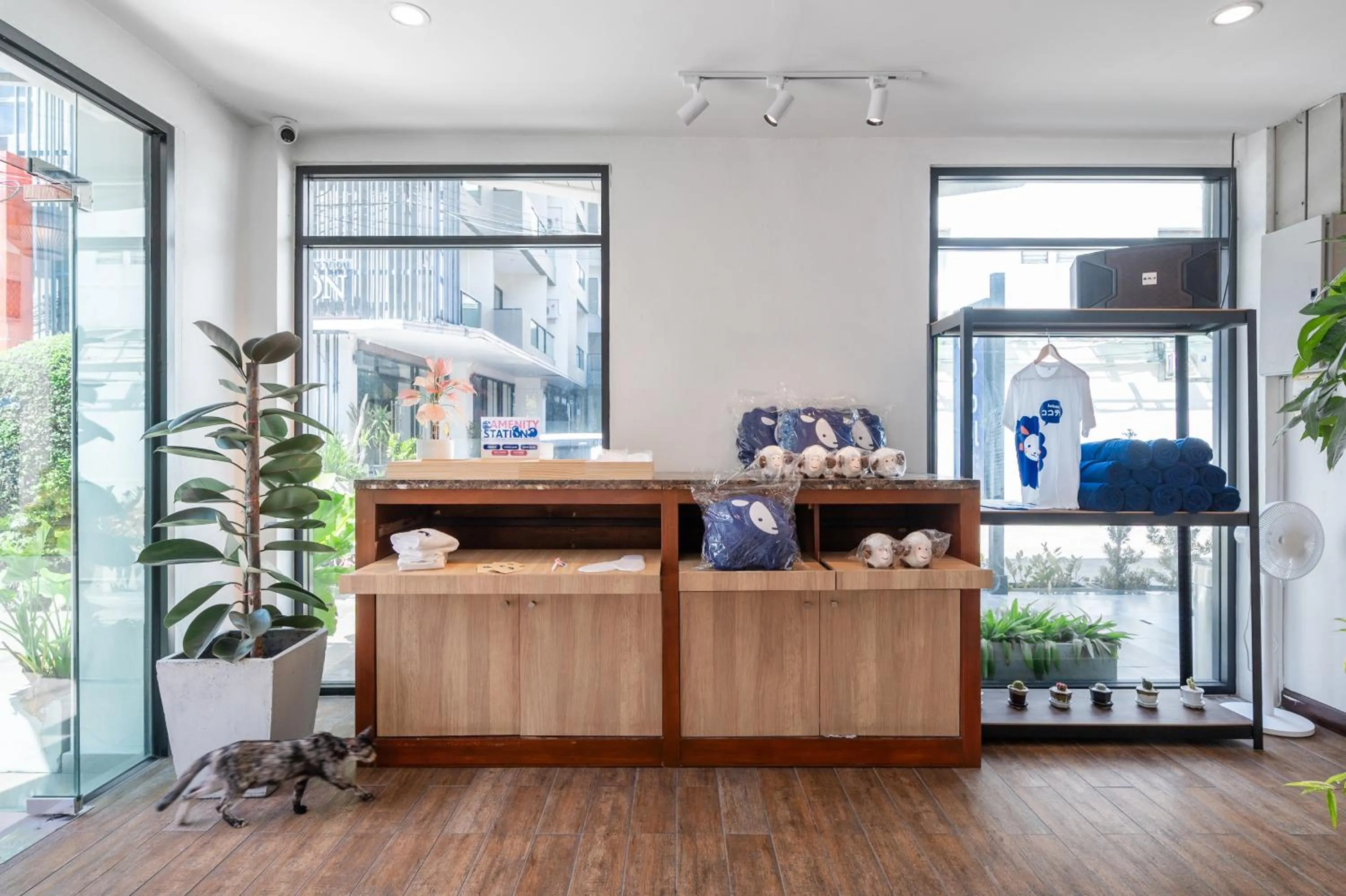 Lobby or reception in Kokotel Pattaya North Beach