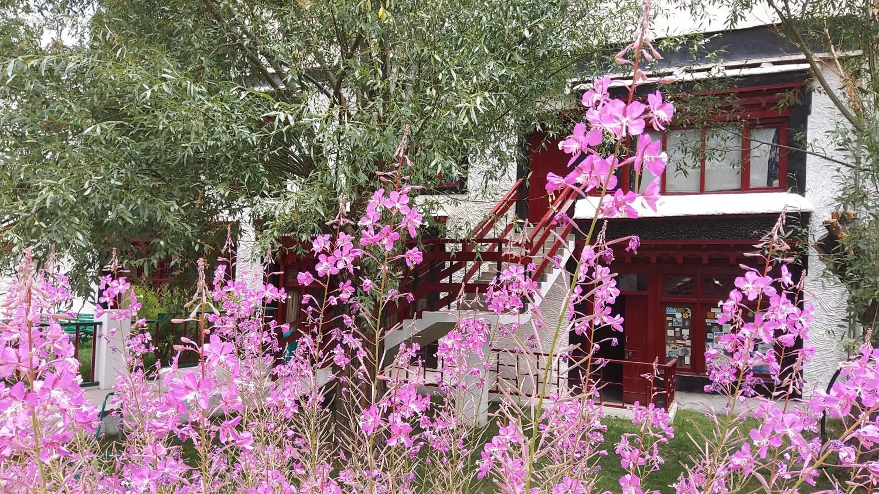 Garden in Lharimo Hotel Leh - Ladakh