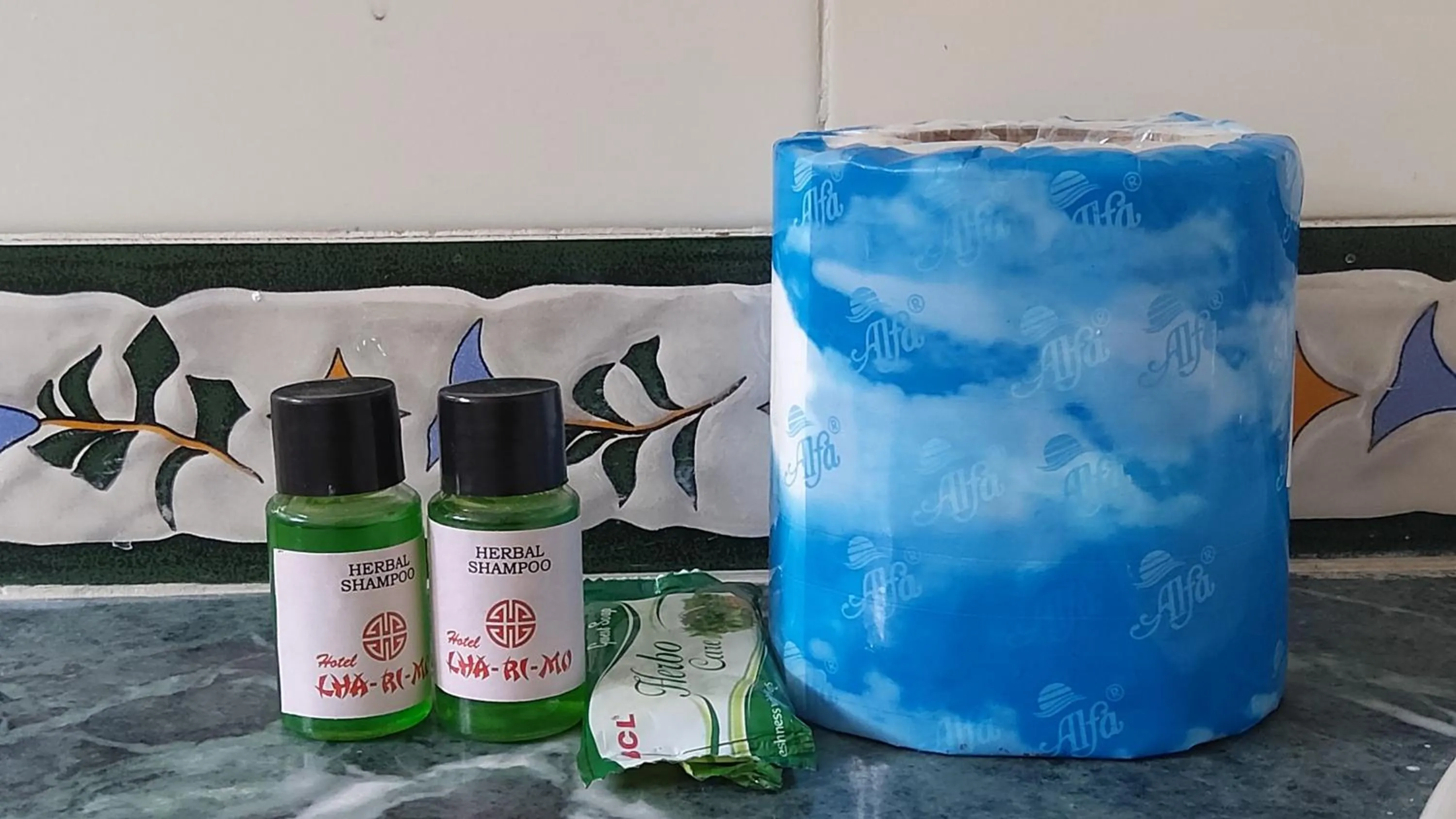 Shower in Lharimo Hotel Leh - Ladakh