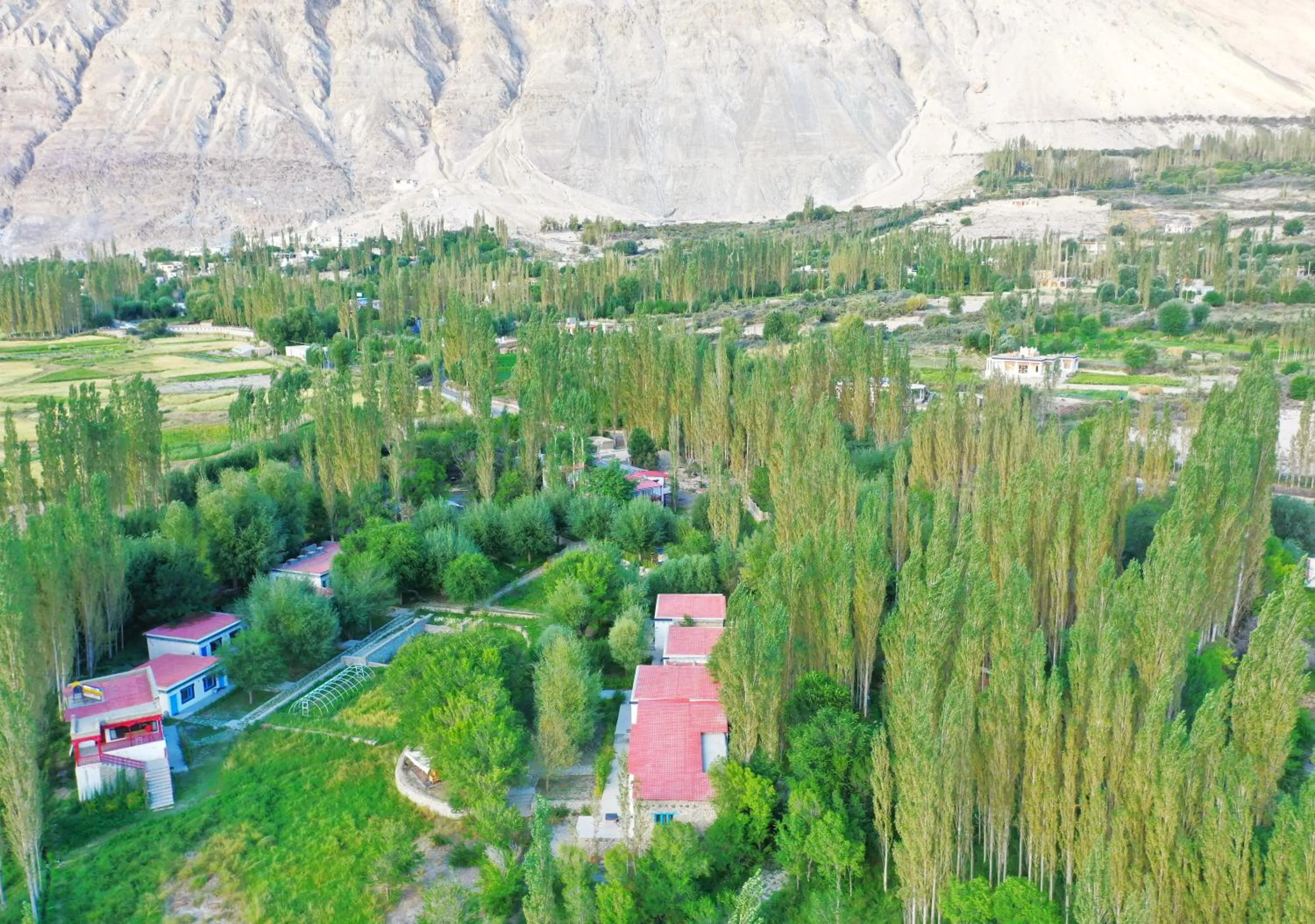 Activities in Lharimo Hotel Leh - Ladakh