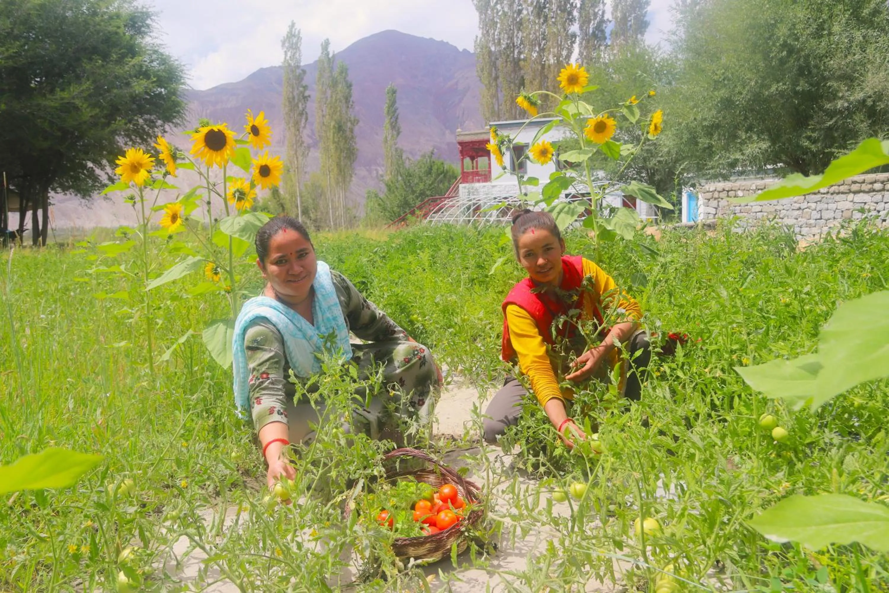 Food in Lharimo Hotel Leh - Ladakh