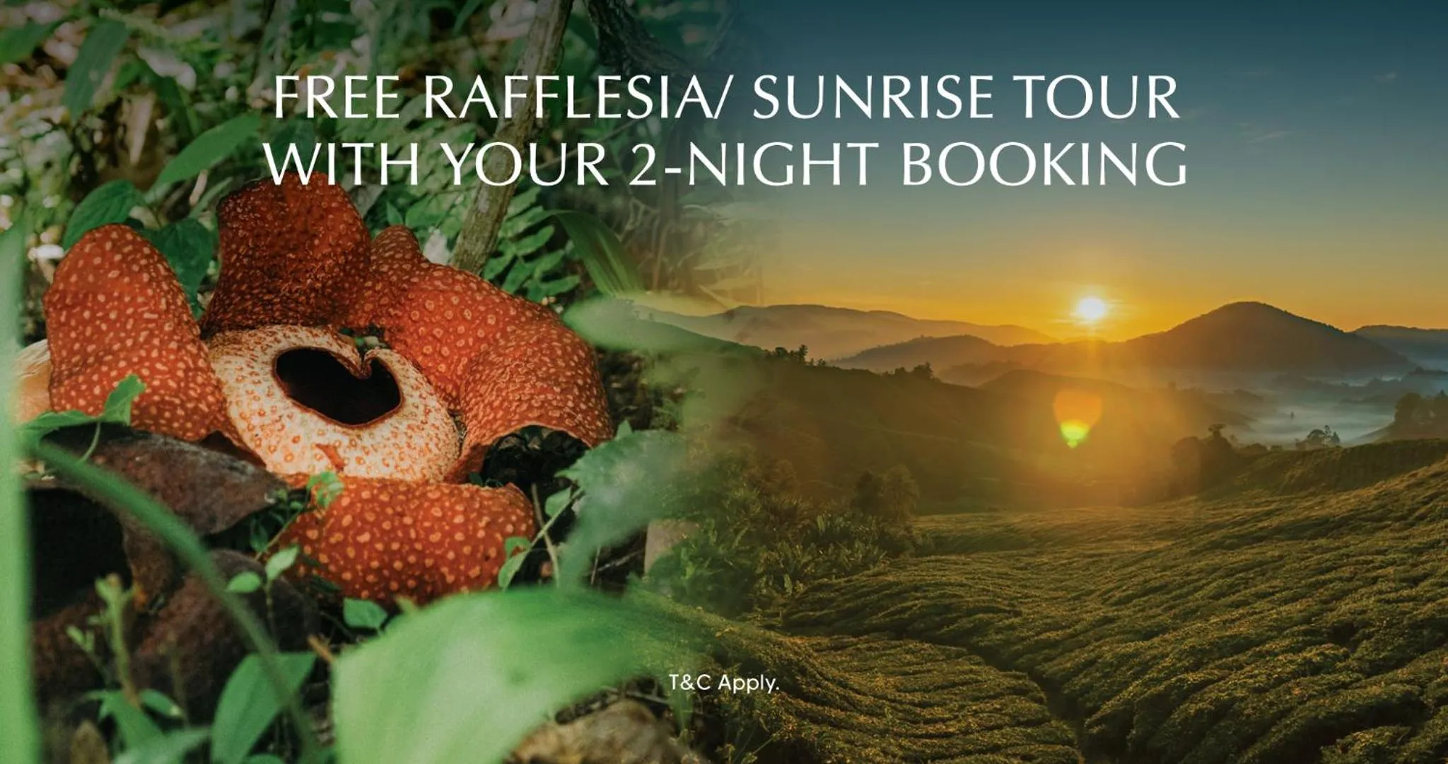 Property building in Zen By Stellar Cameron