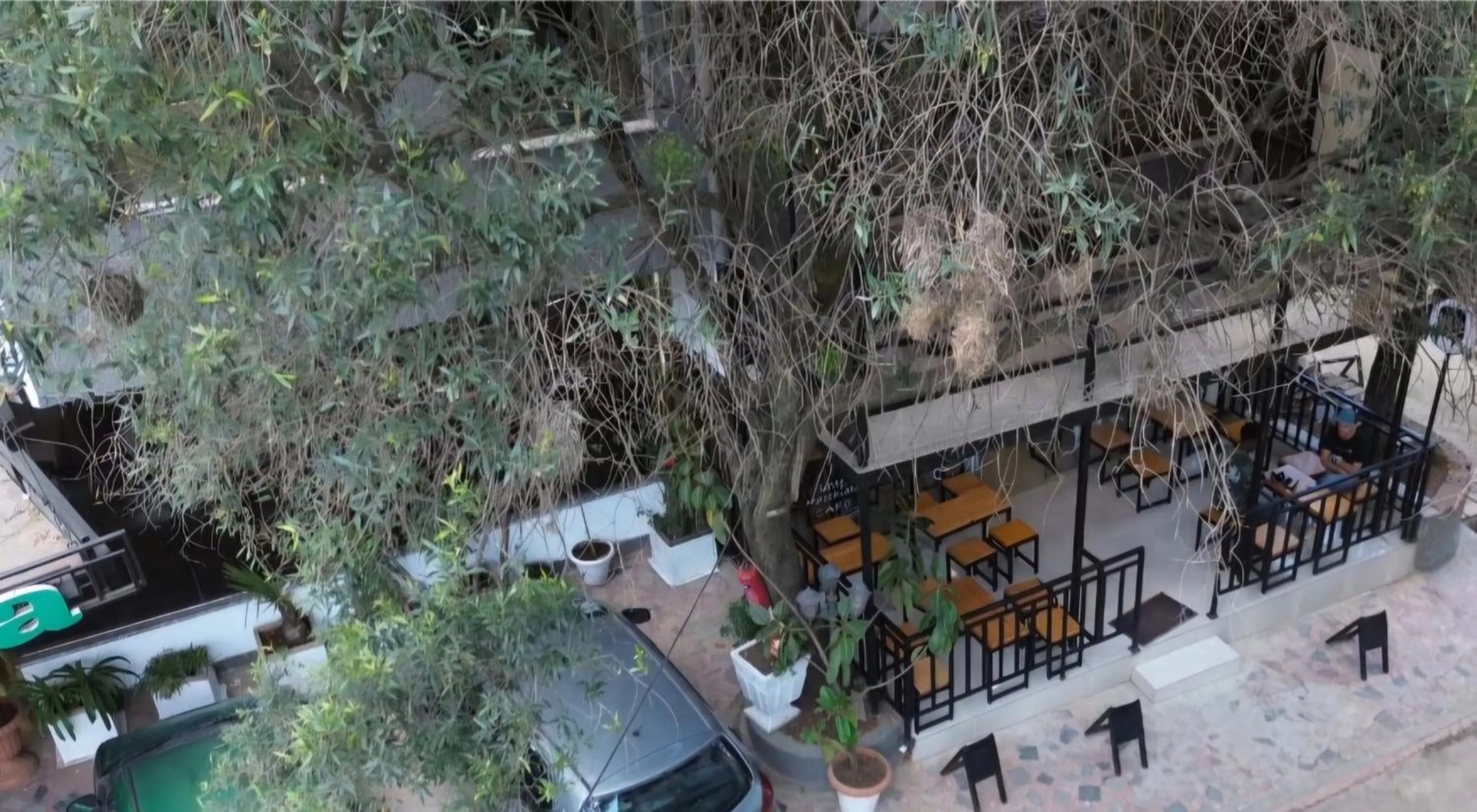 Restaurant/places to eat in Hotel Lobelia