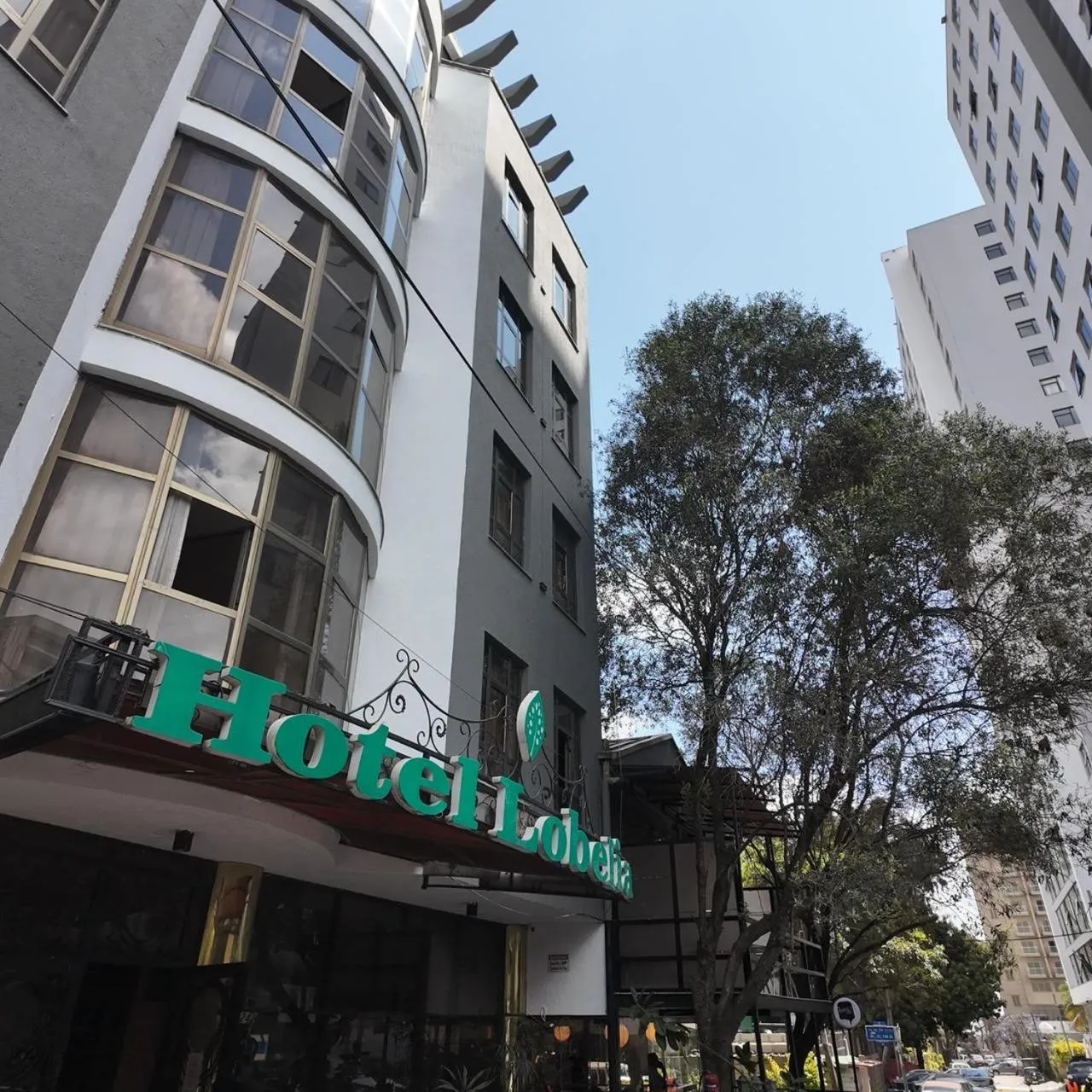 Property building in Hotel Lobelia