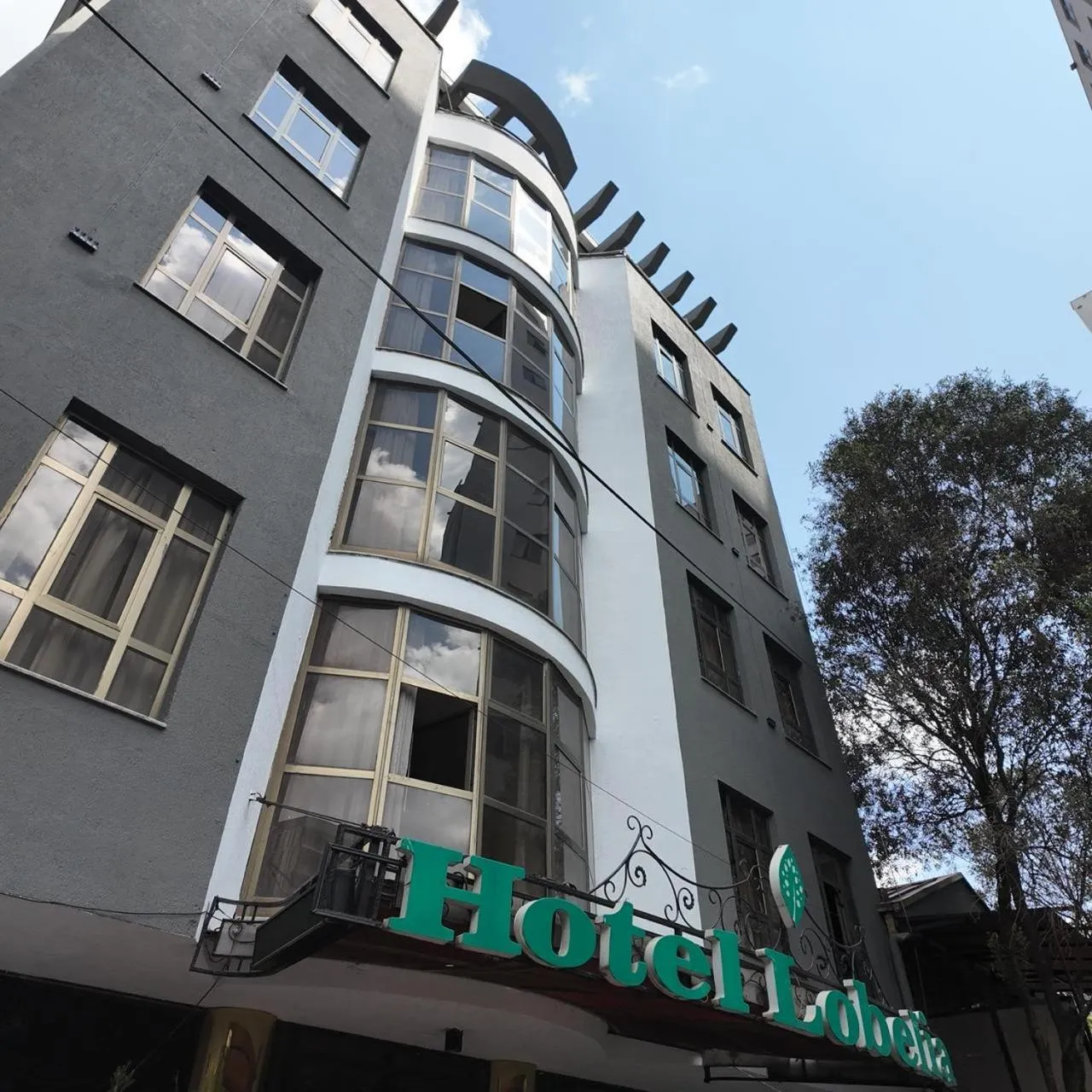 Property building in Hotel Lobelia