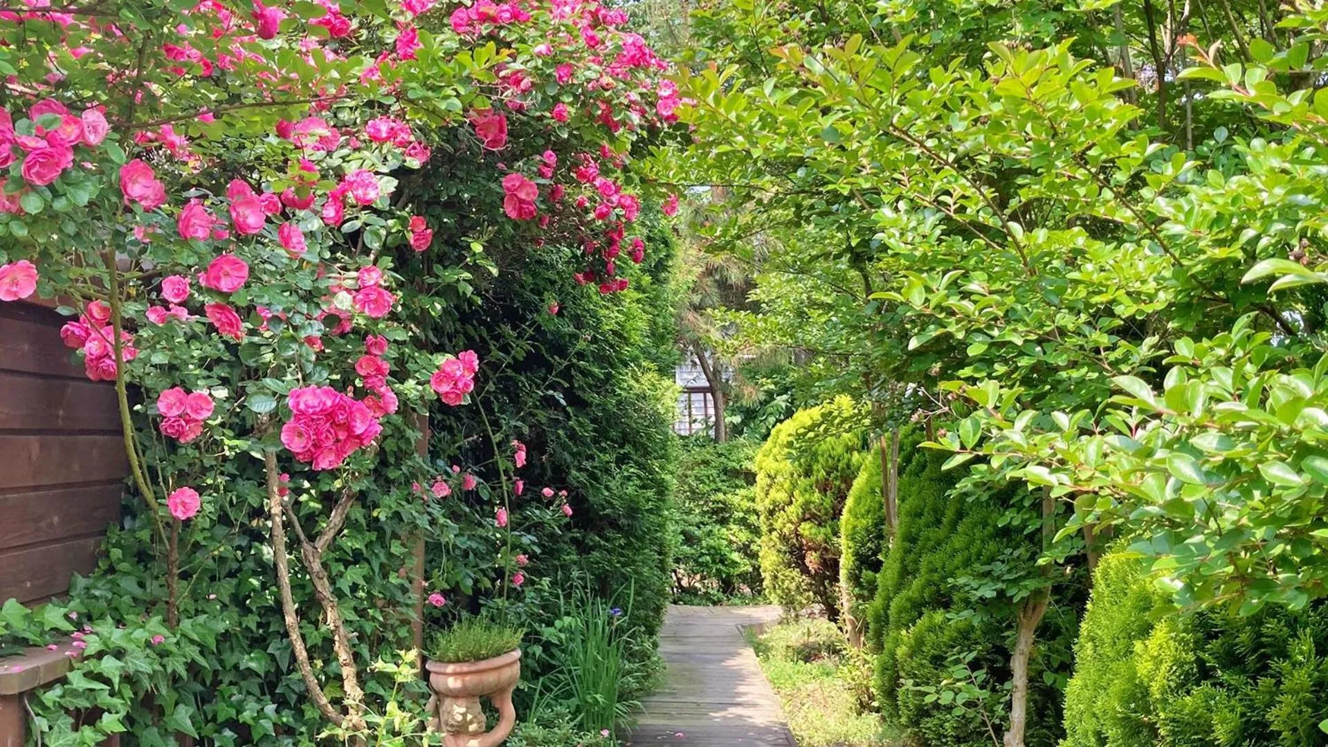 Anmyeondo Tamarind Pension