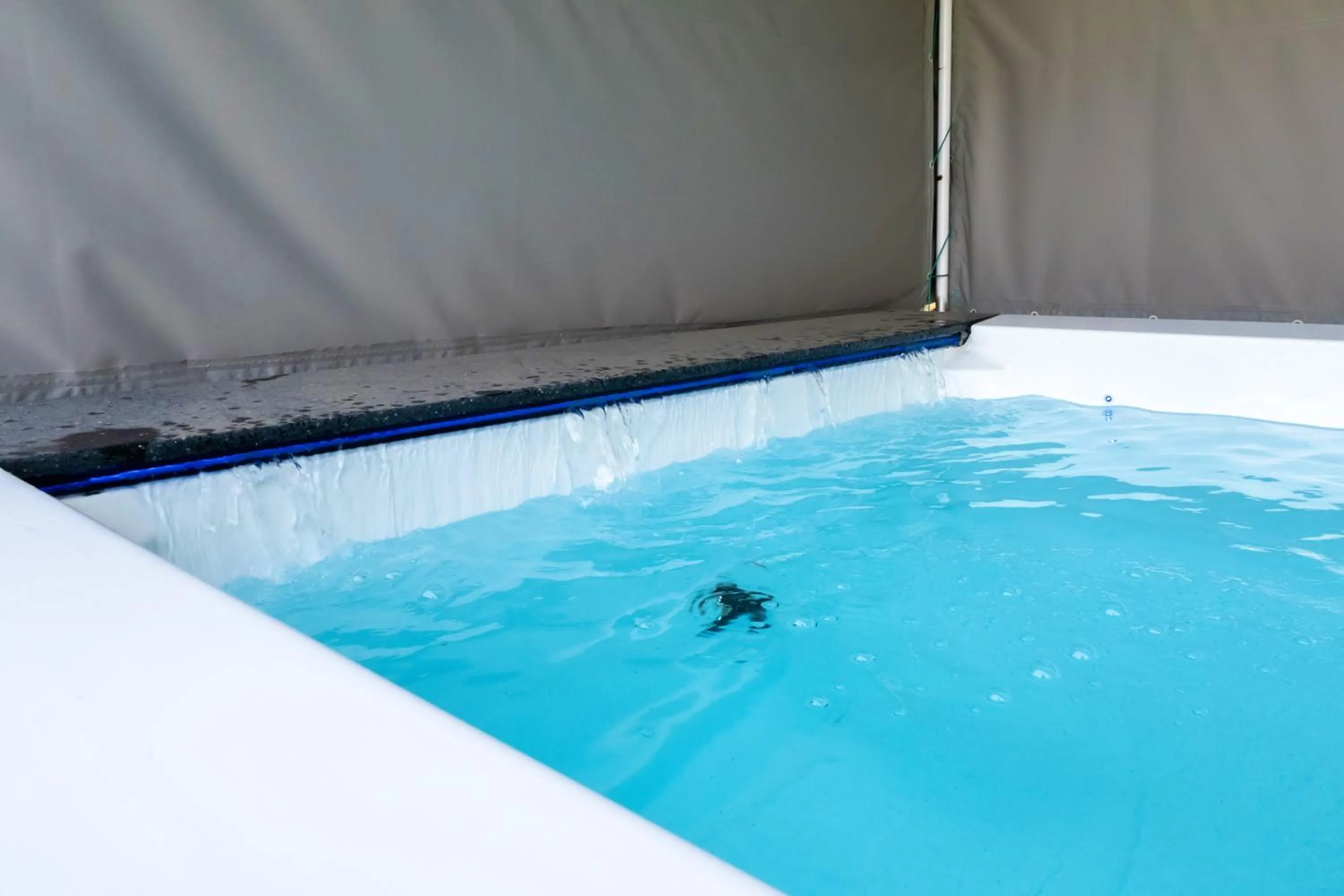 Daebudo polaris pension