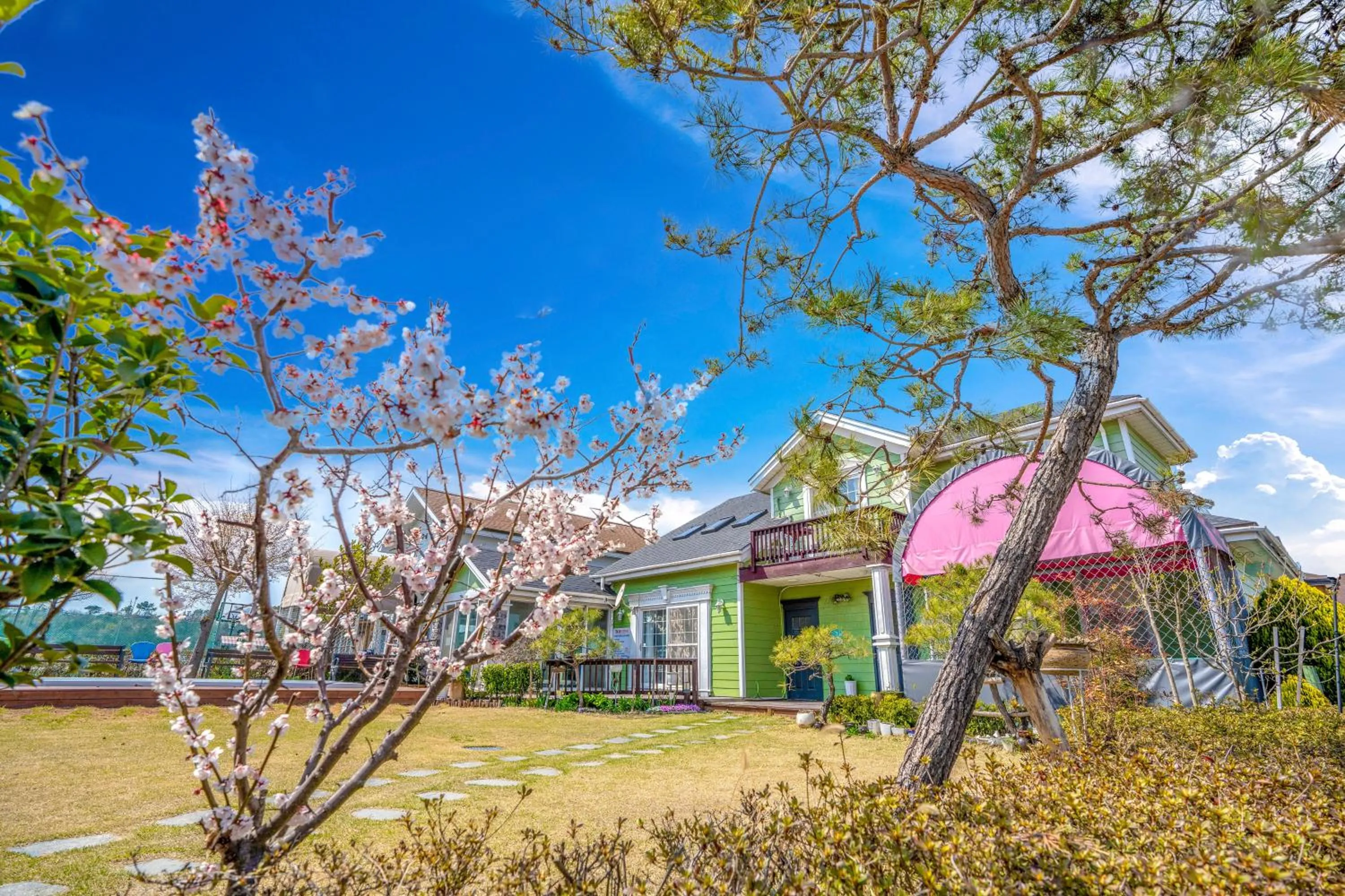 Daebudo polaris pension