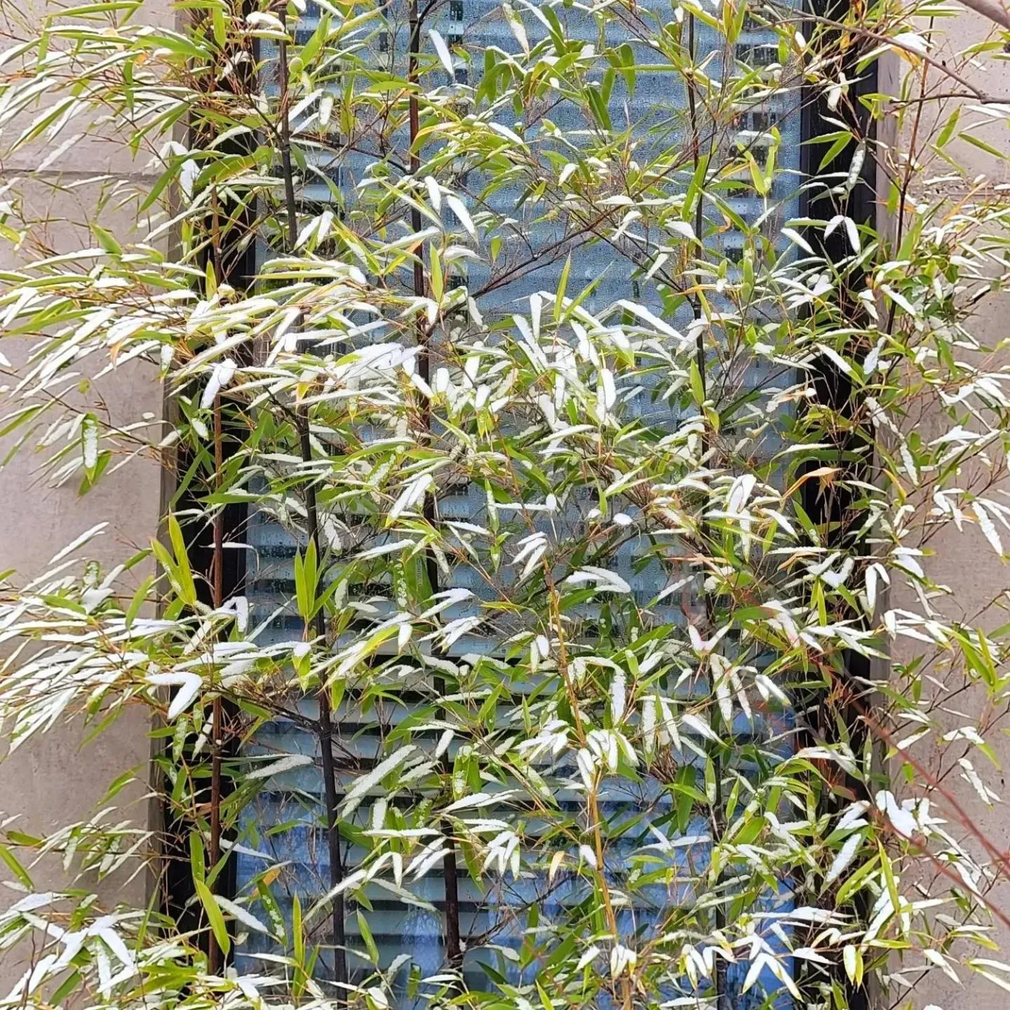 Chuncheon Onda Poolvilla