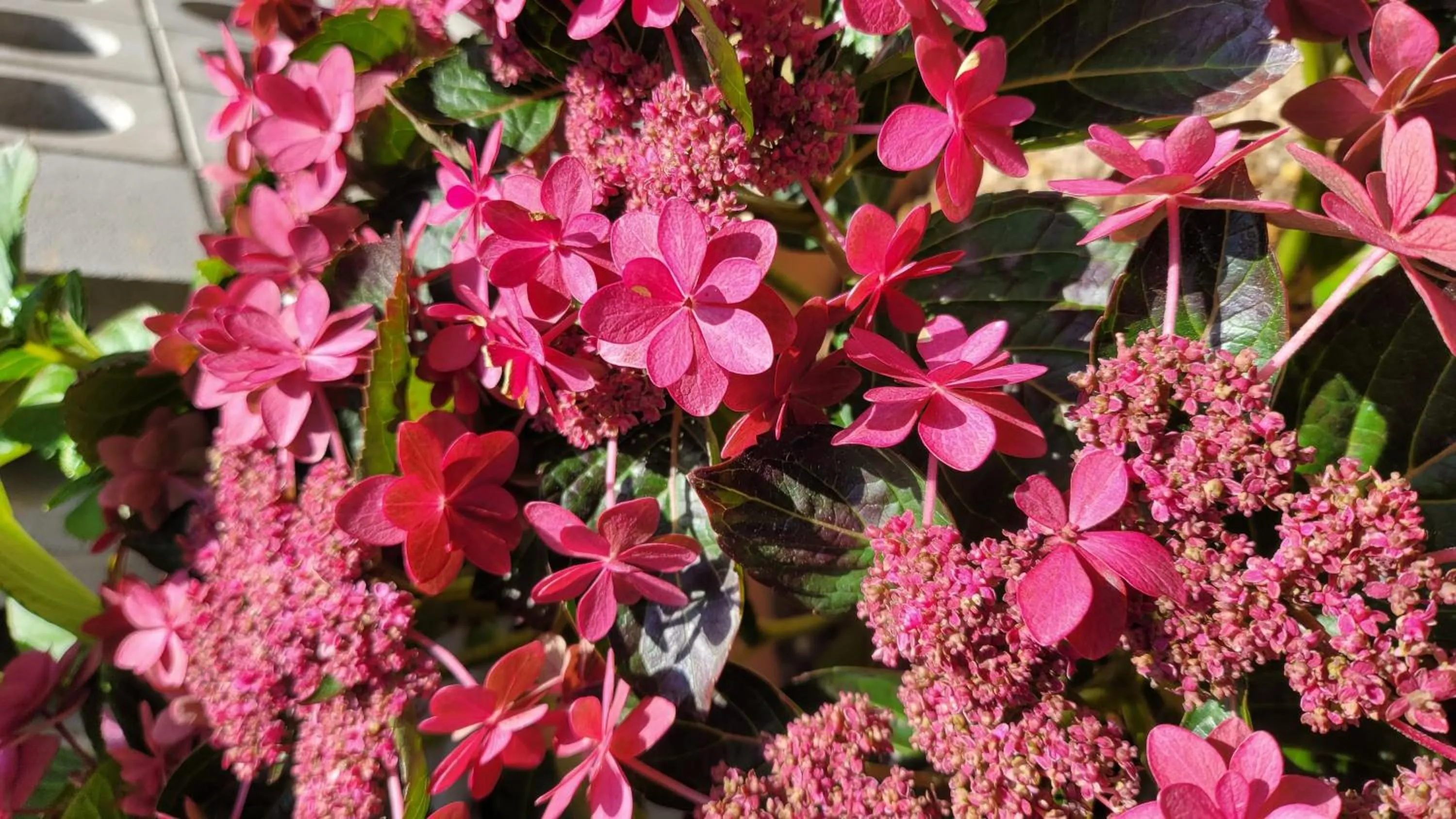 Chuncheon Onda Poolvilla