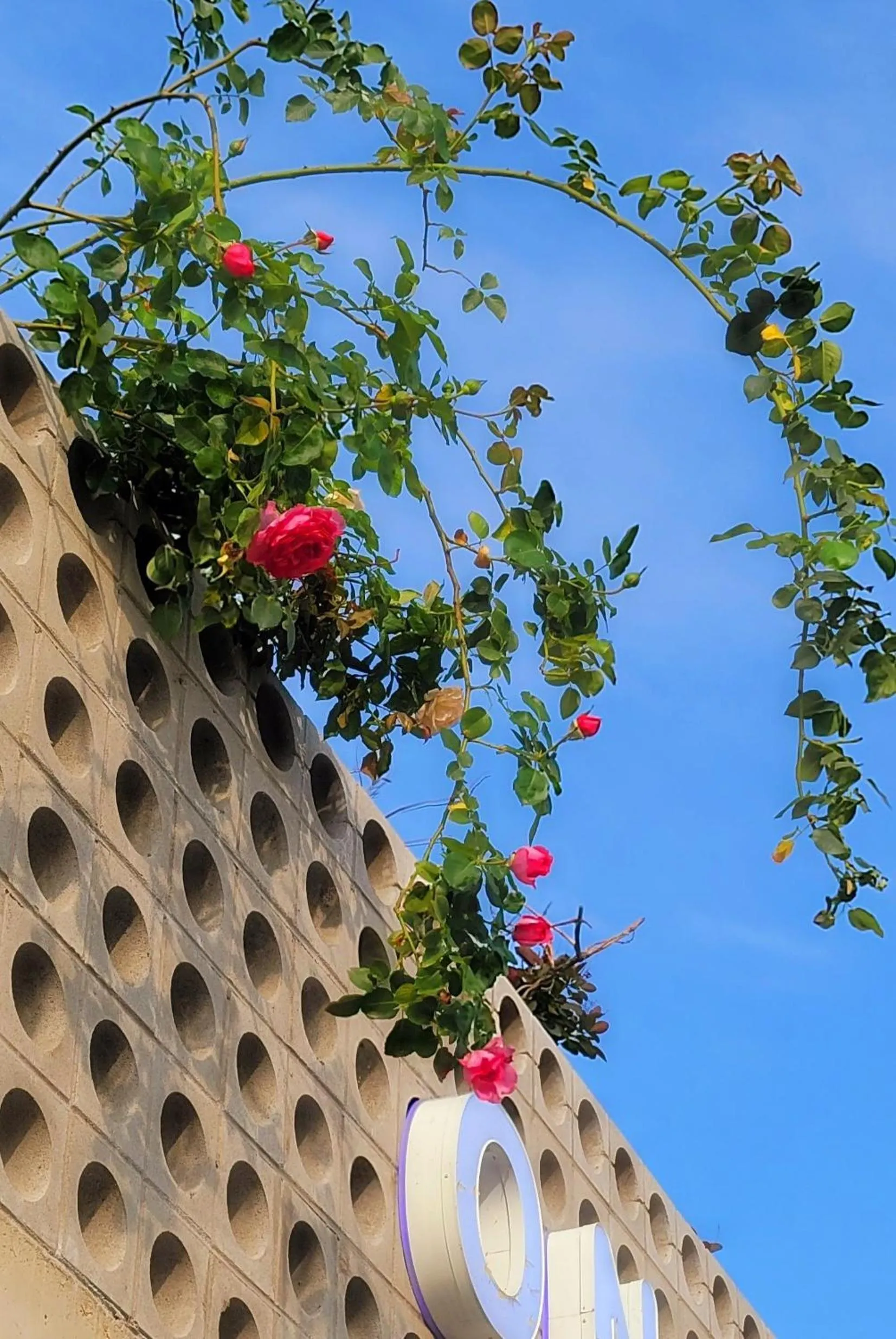 Chuncheon Onda Poolvilla