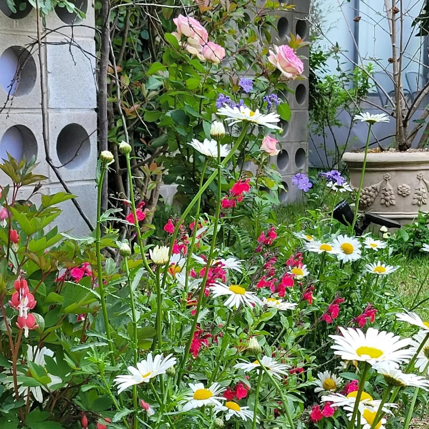 Chuncheon Onda Poolvilla