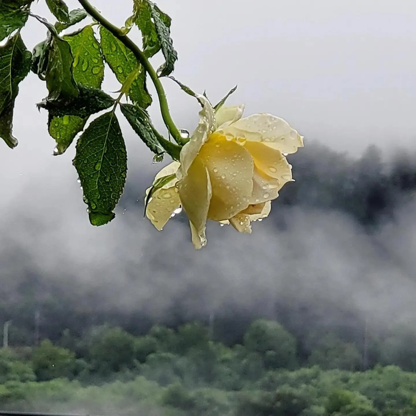 Chuncheon Onda Poolvilla