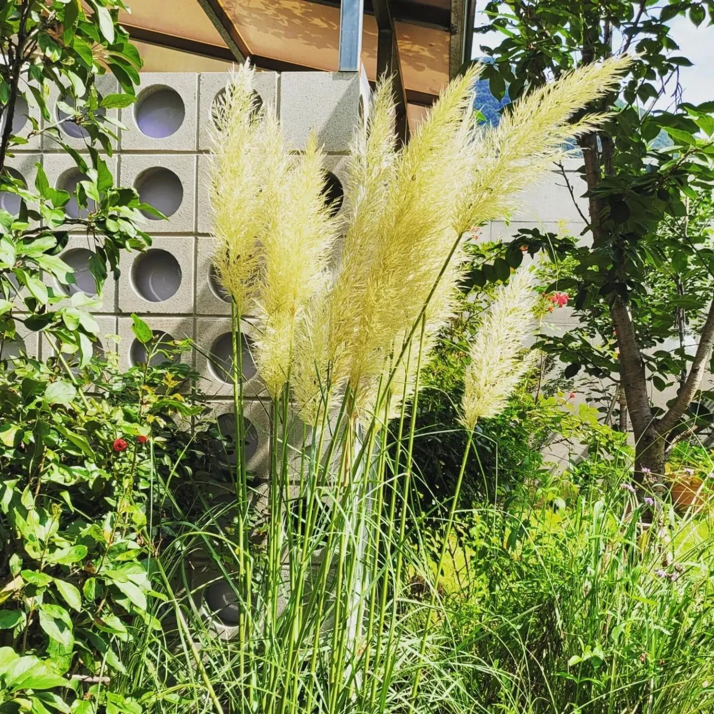 Chuncheon Onda Poolvilla