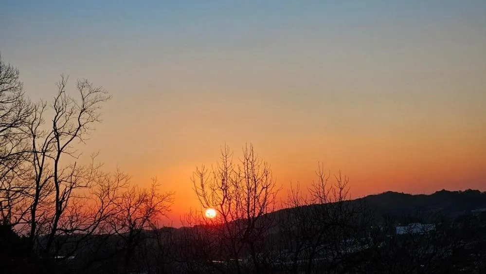 Yangyang Little Forest Pension