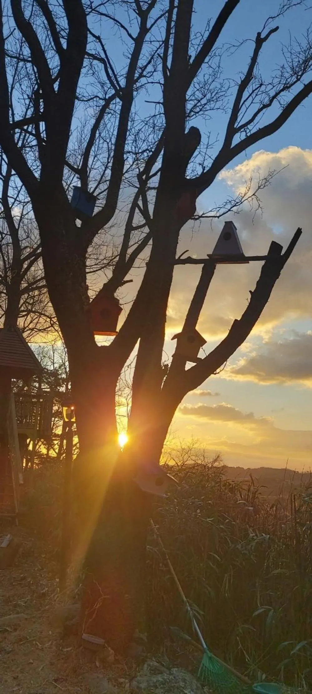 Yangyang Little Forest Pension