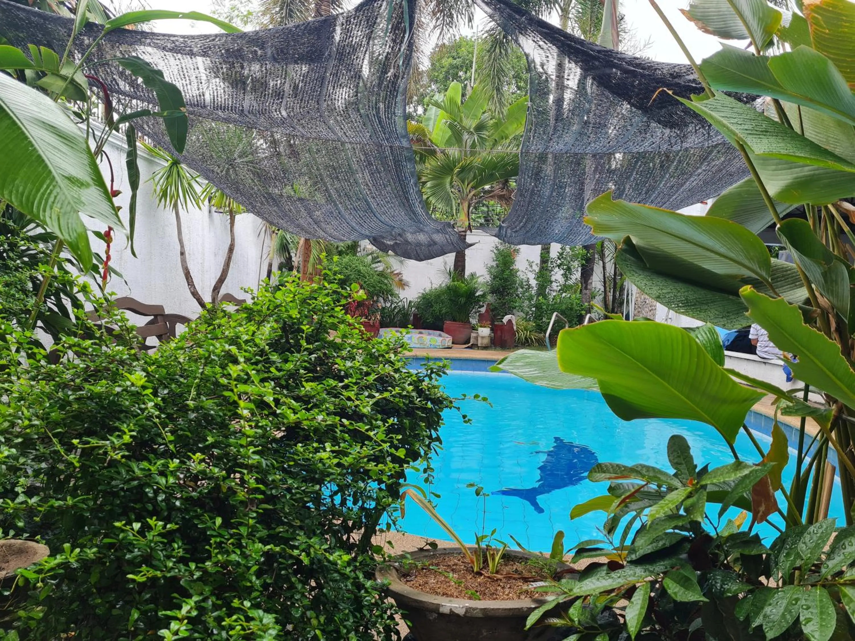 Garden in Casa Eliana Garden Villa by SMS Hospitality