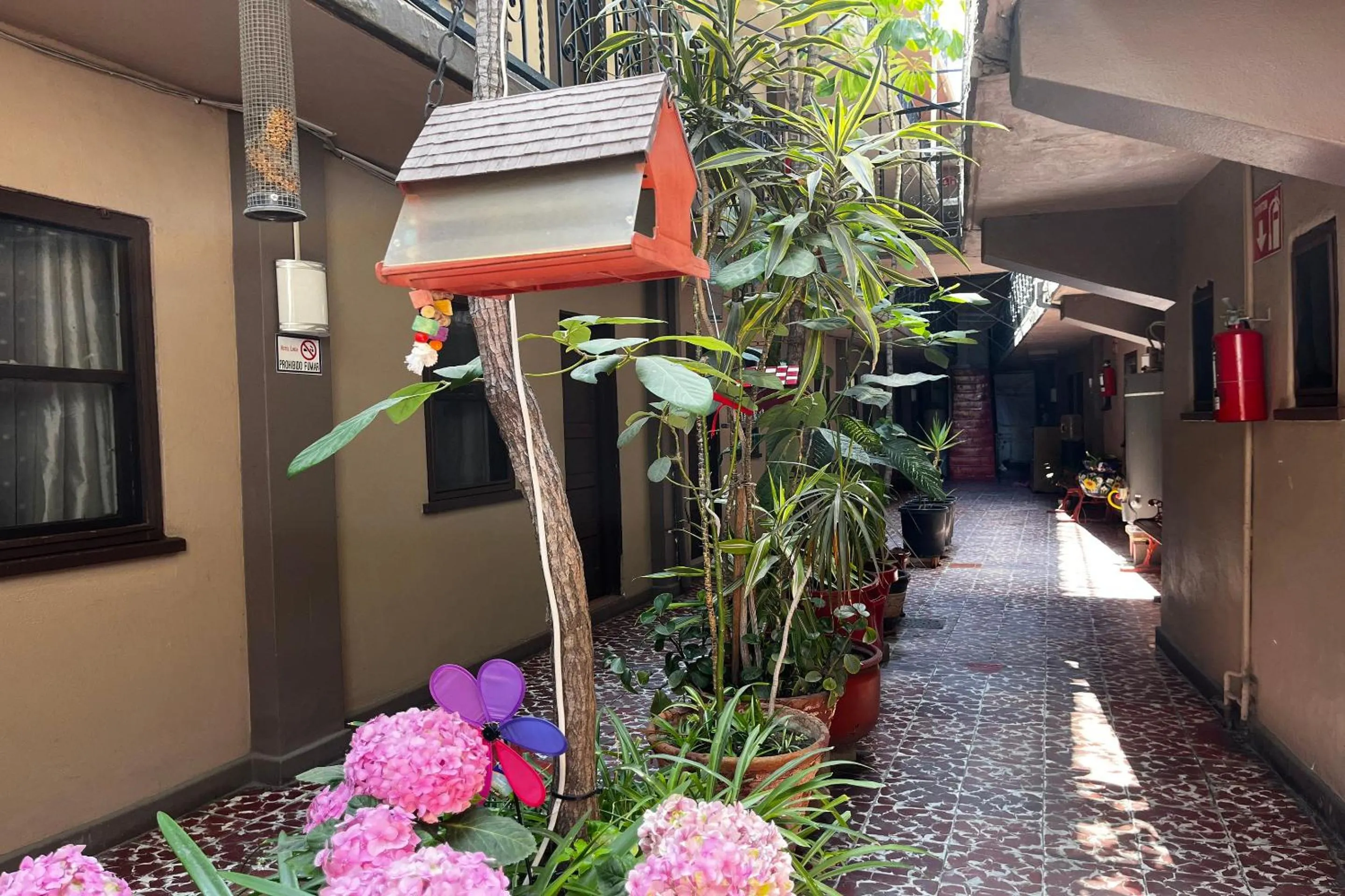 Lobby or reception in OYO Hotel Linda Tijuana