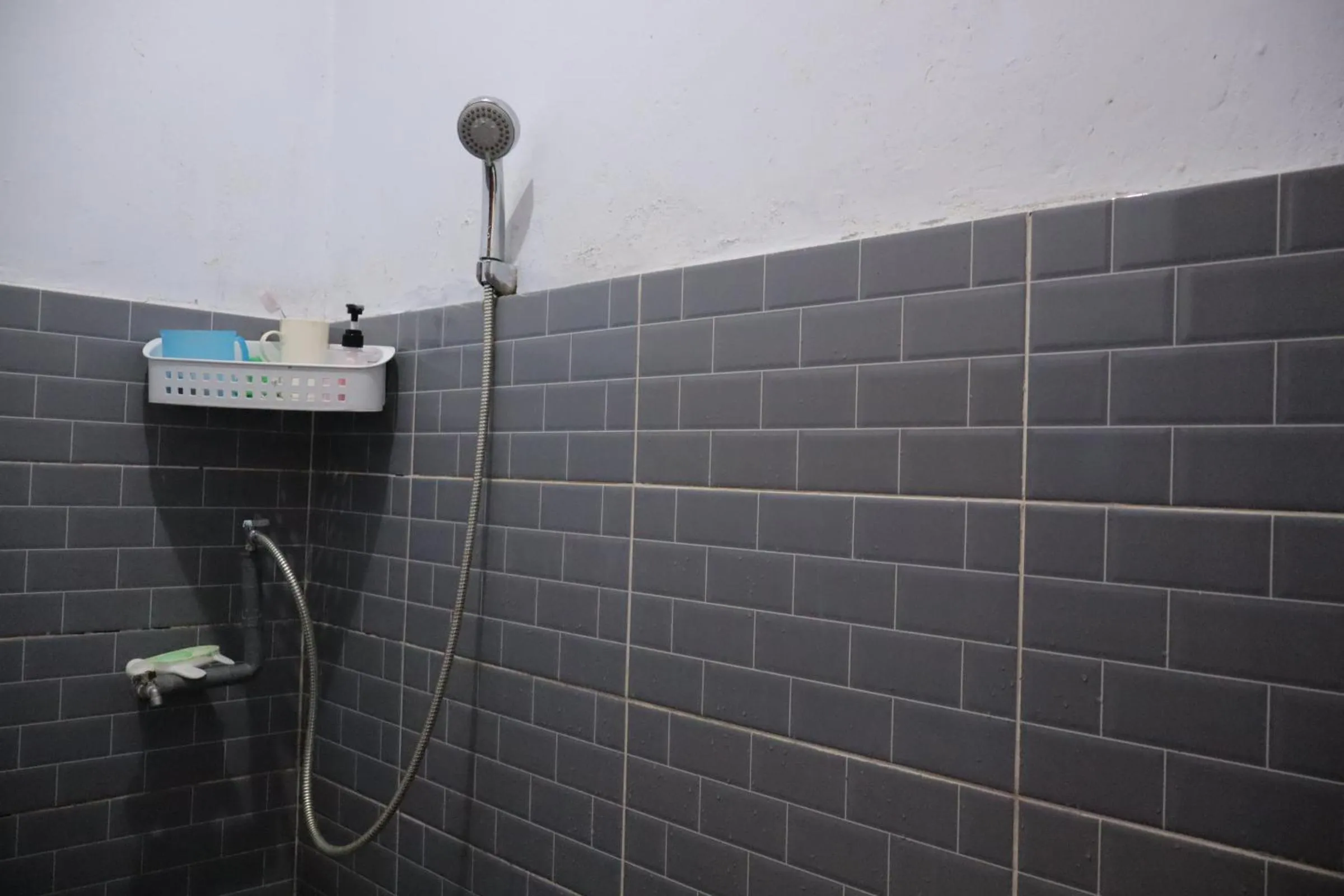 Shower in Chrisma Bed and Breakfast