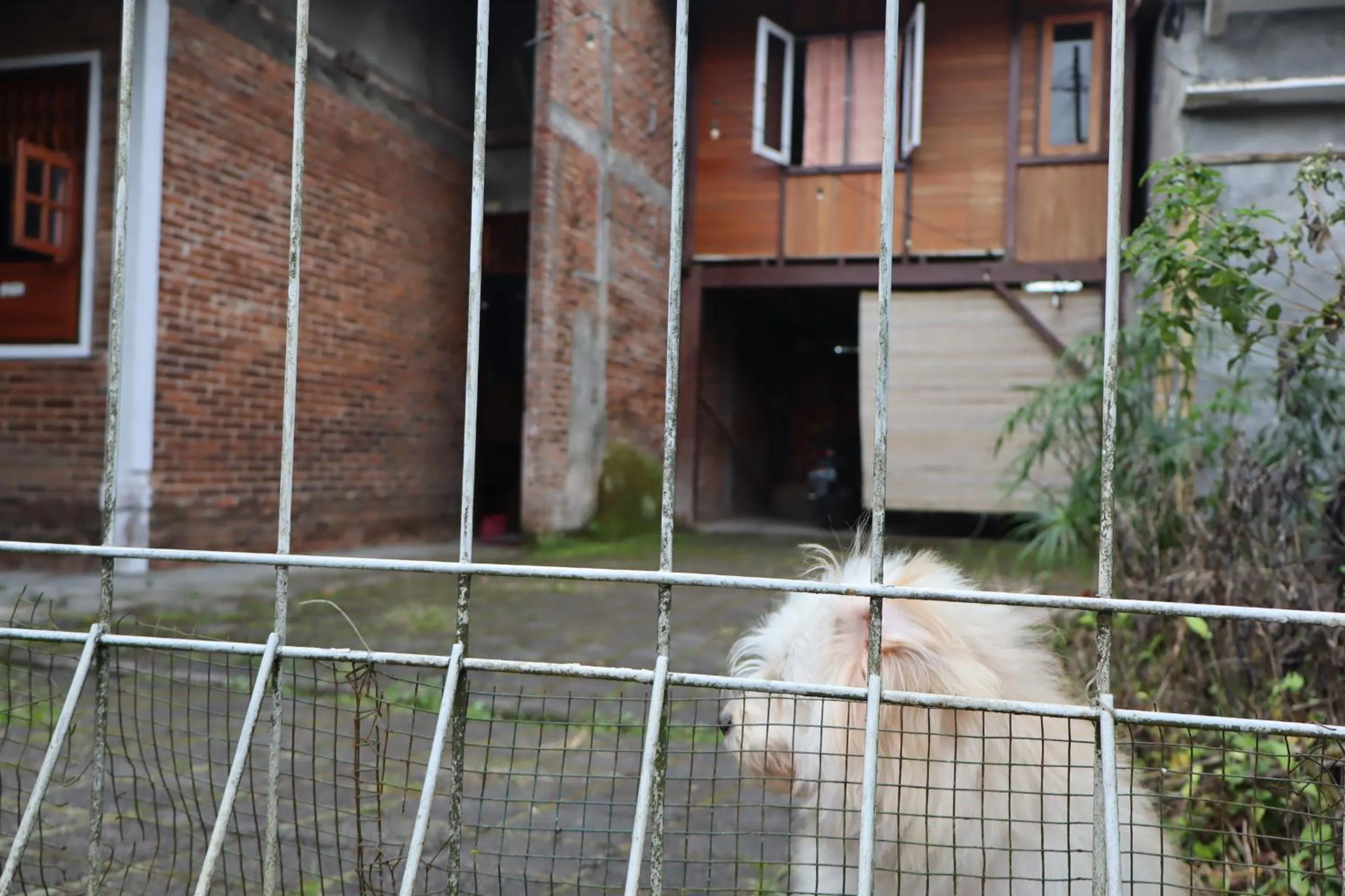 Property building in Chrisma Bed and Breakfast