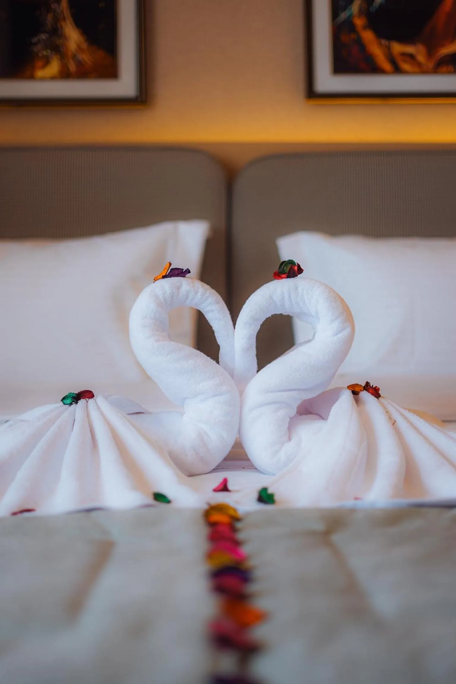 towels, Bed in Elite View Hotel Dakhla