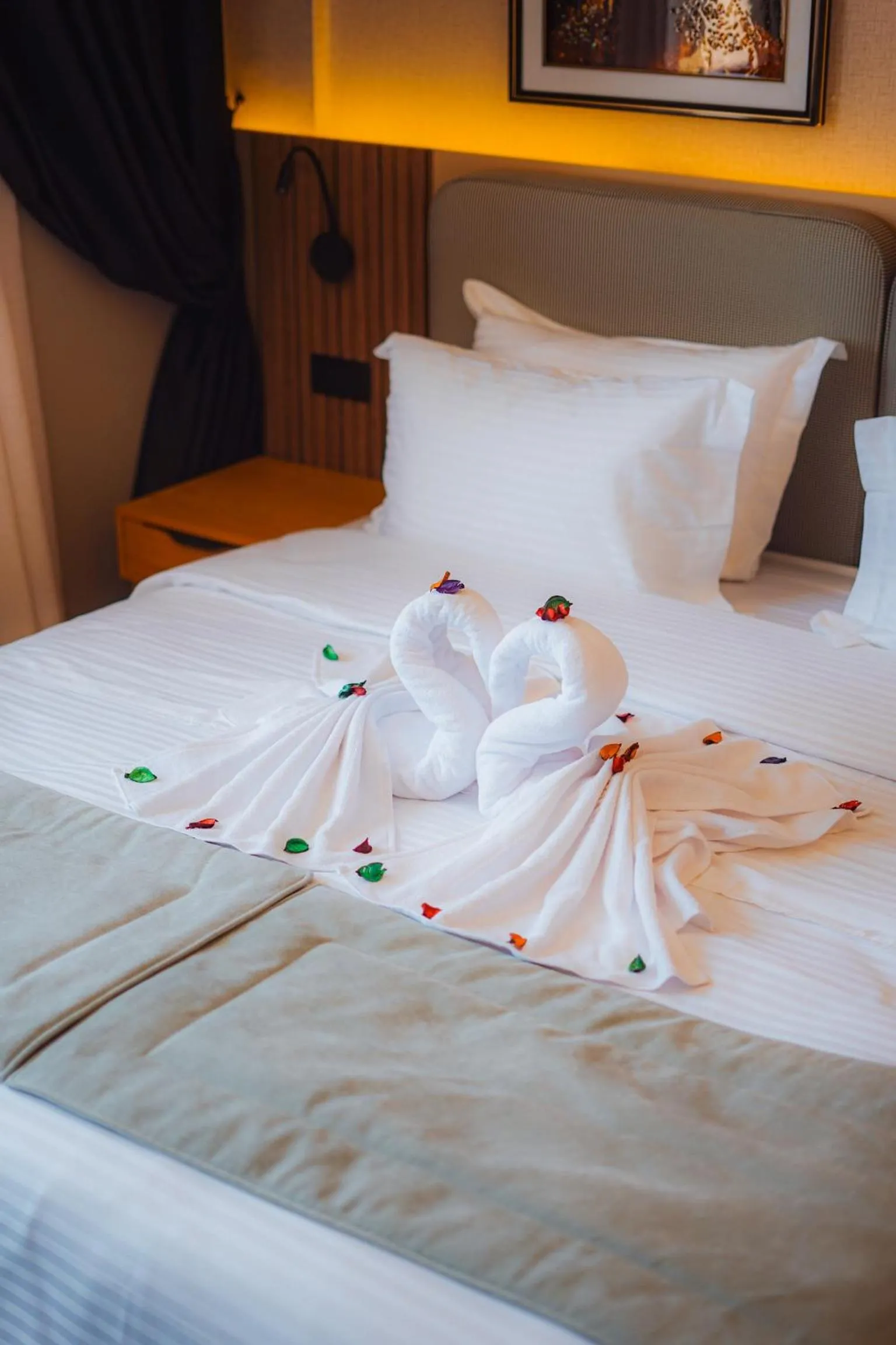 Photo of the whole room, Bed in Elite View Hotel Dakhla