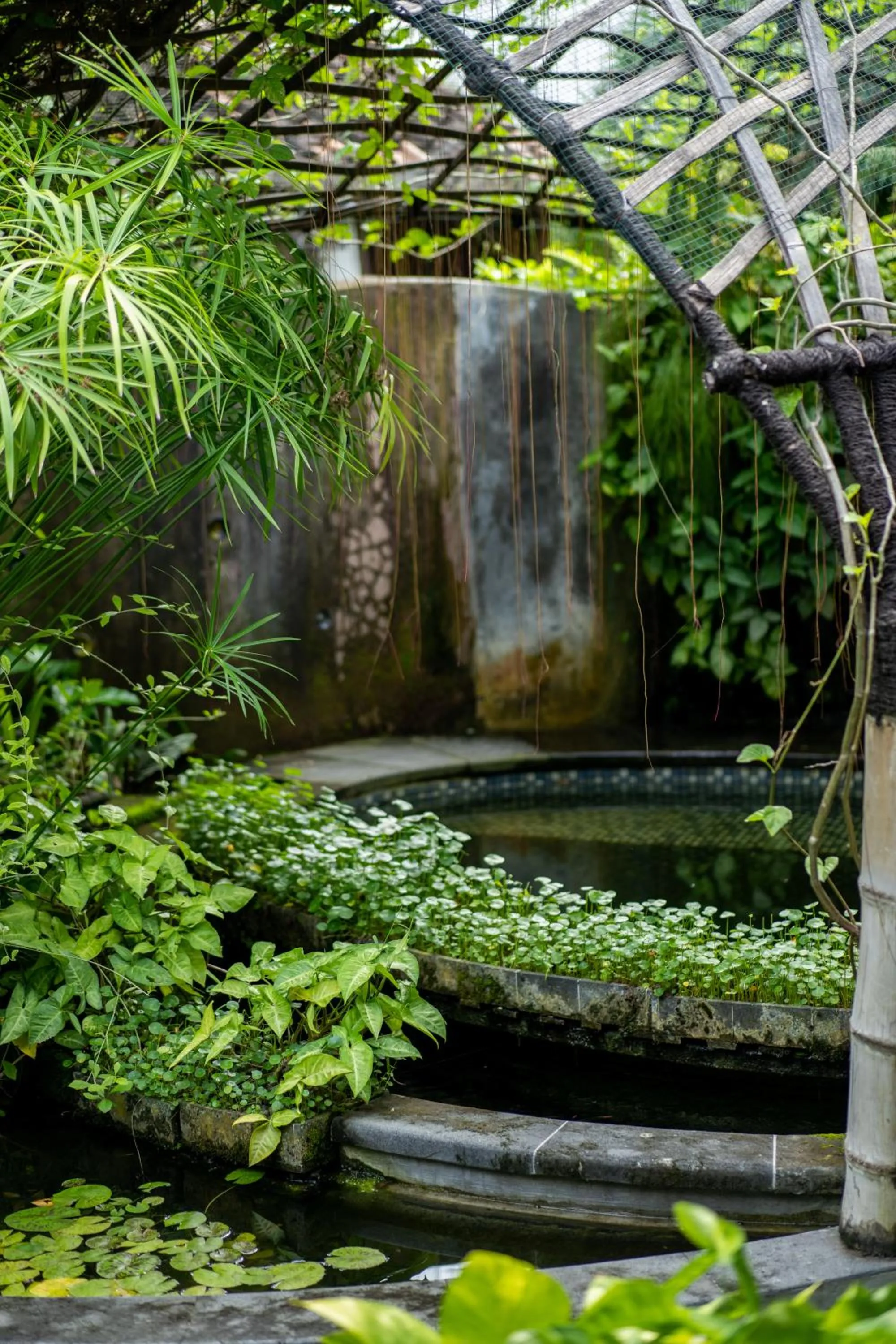 Pool view in Yabbiekayu