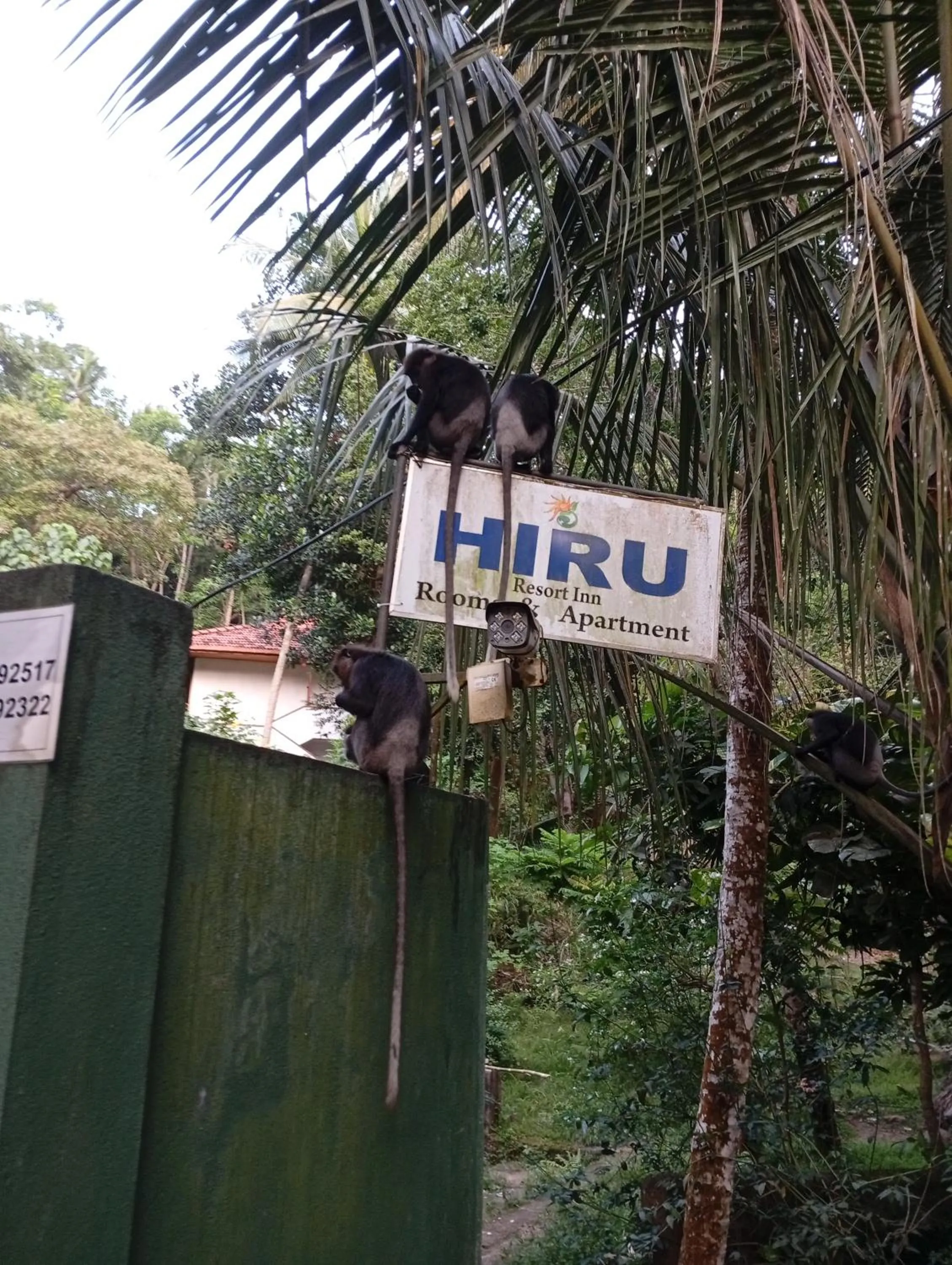 Hiru Resort Inn