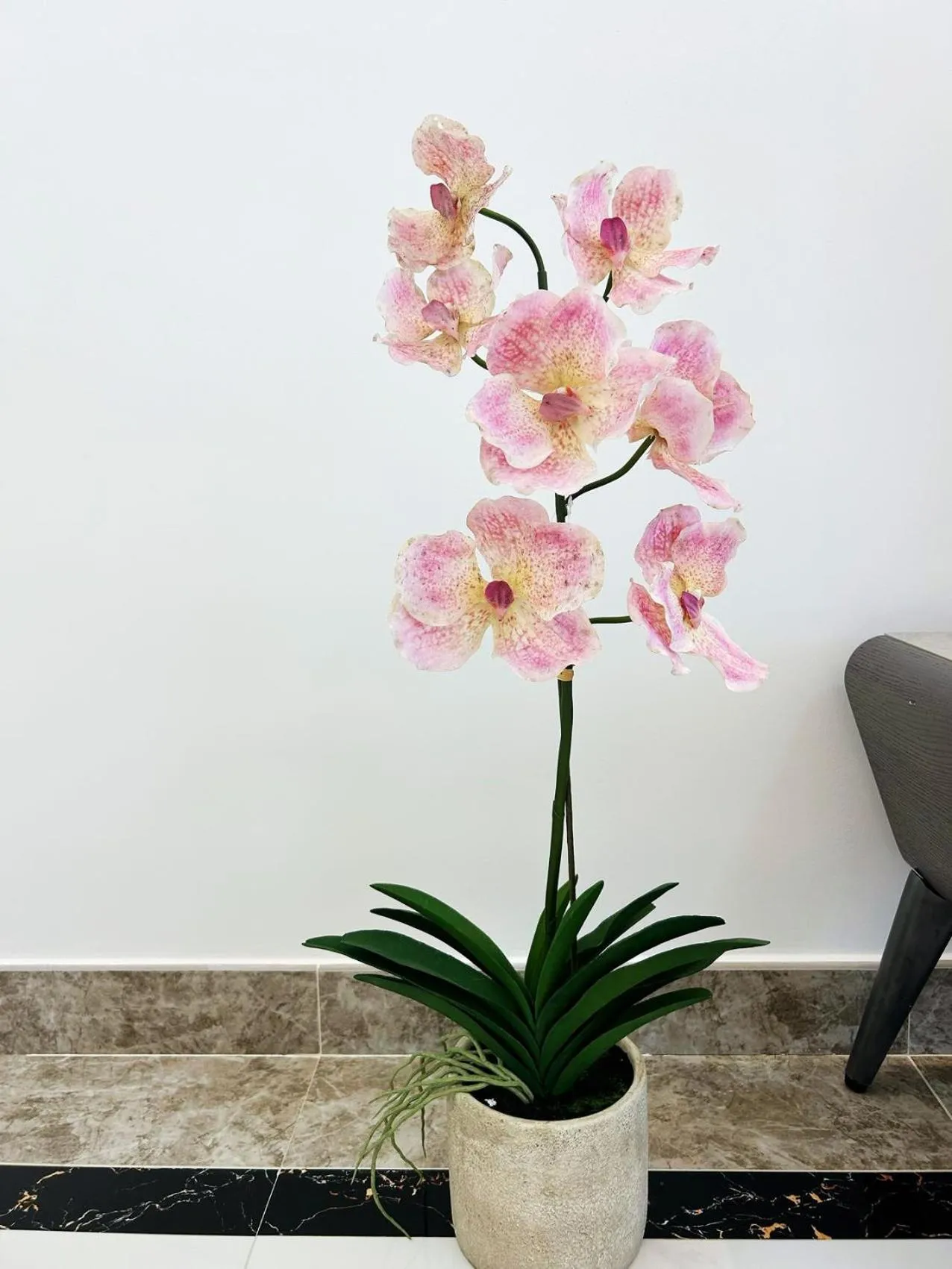 R&F Princess Cove Superior Homestay Nearby CIQ By Han Lin Sojourn