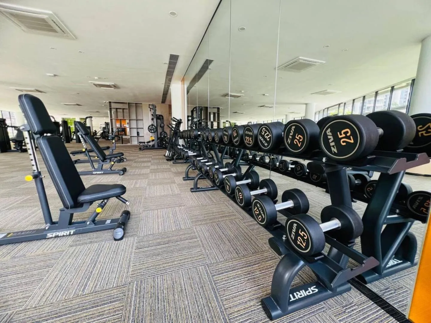 Fitness centre/facilities in R&F Princess Cove Superior Homestay Nearby CIQ By Han Lin Sojourn