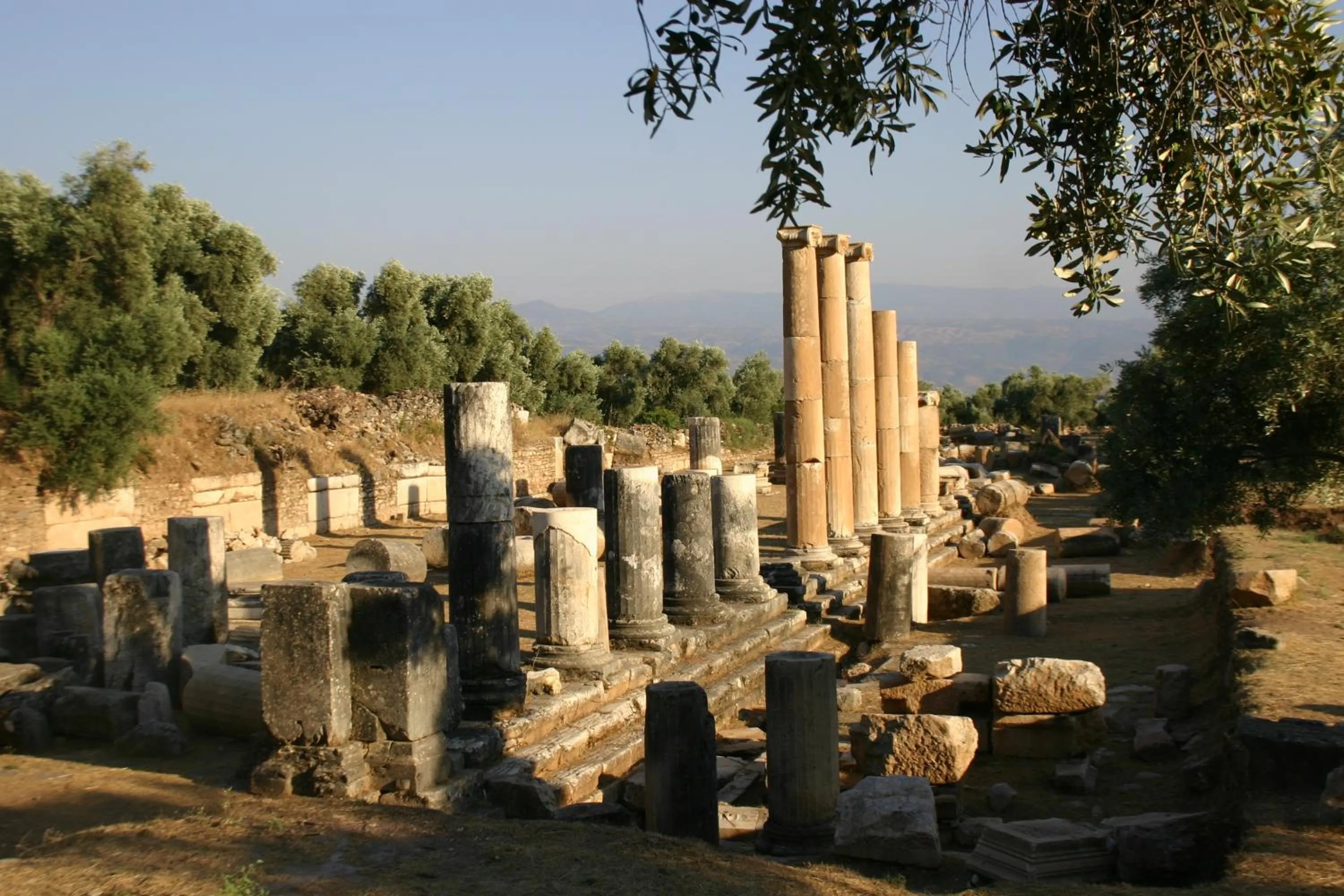 Nearby landmark in Nysa Hotel