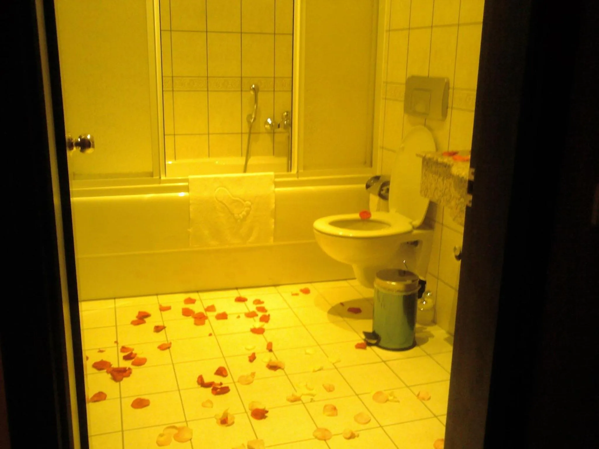 Photo of the whole room in Nysa Hotel