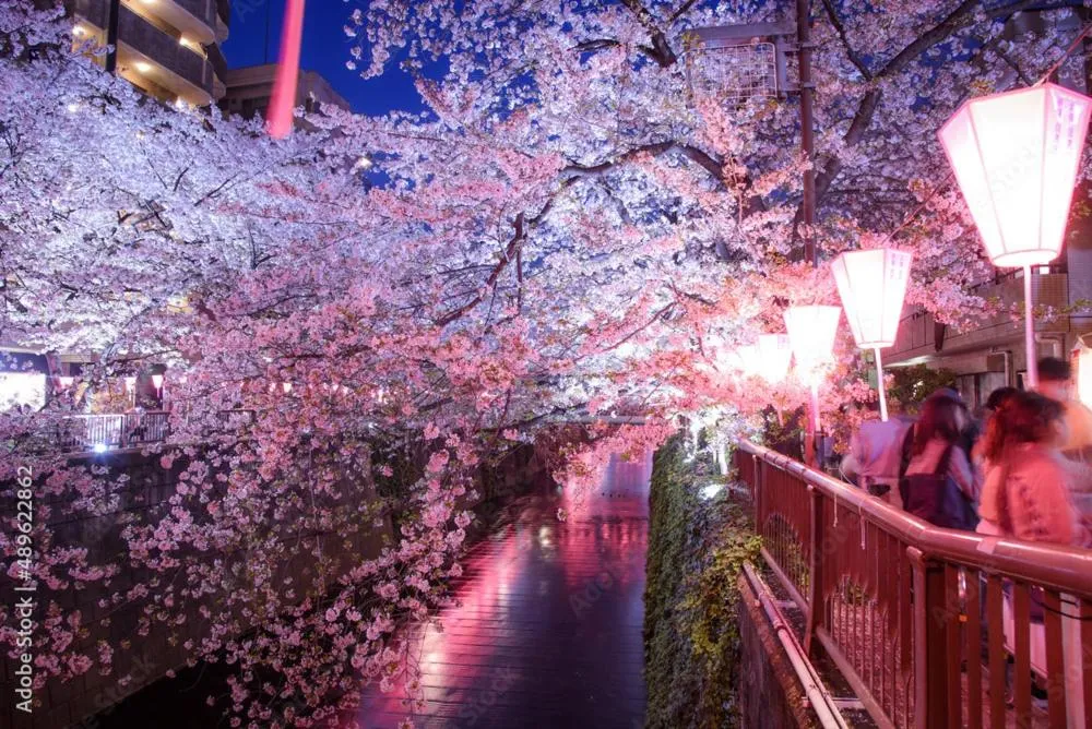 Rakuna Inn 遊 Kinshicho