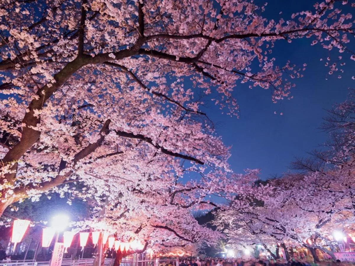 Rakuna Inn 遊 Kinshicho