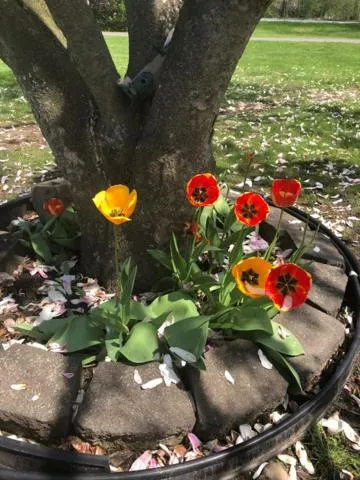 Property building in Gratiot View Motel
