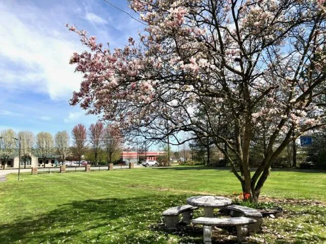 Property building in Gratiot View Motel