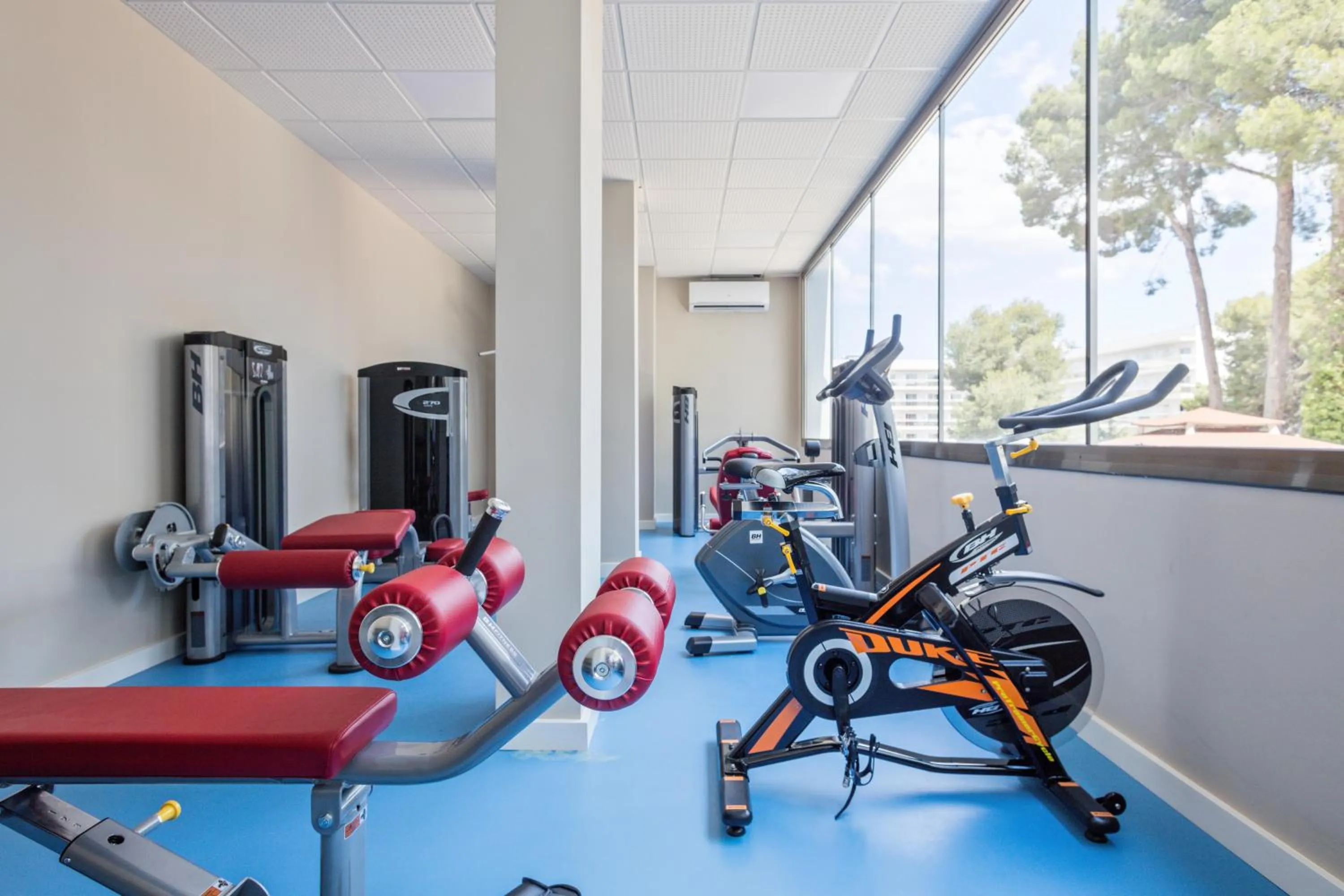 Activities in Hotel Best Mediterraneo