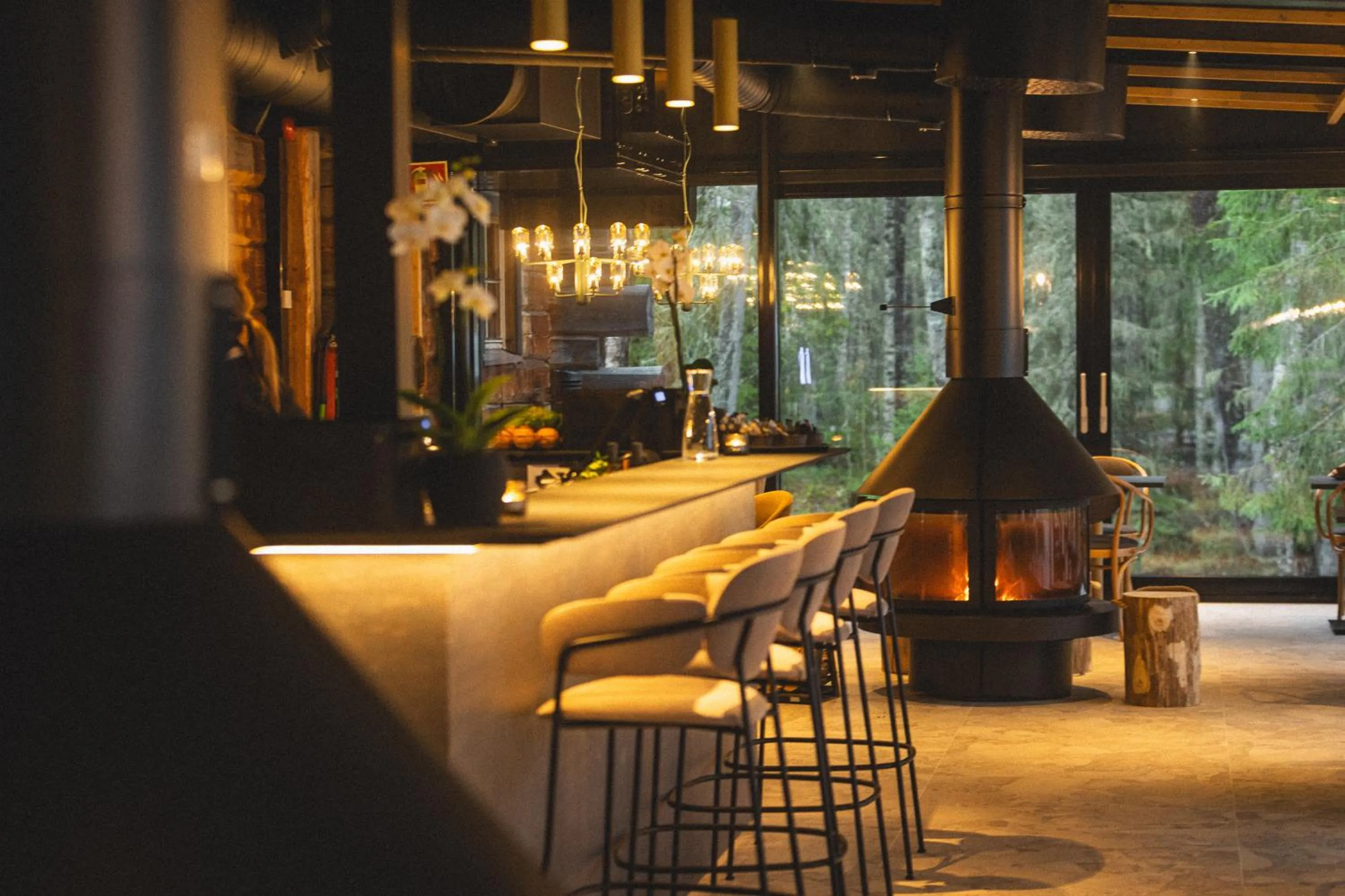 Restaurant/places to eat in Vaattunki Wilderness Resort