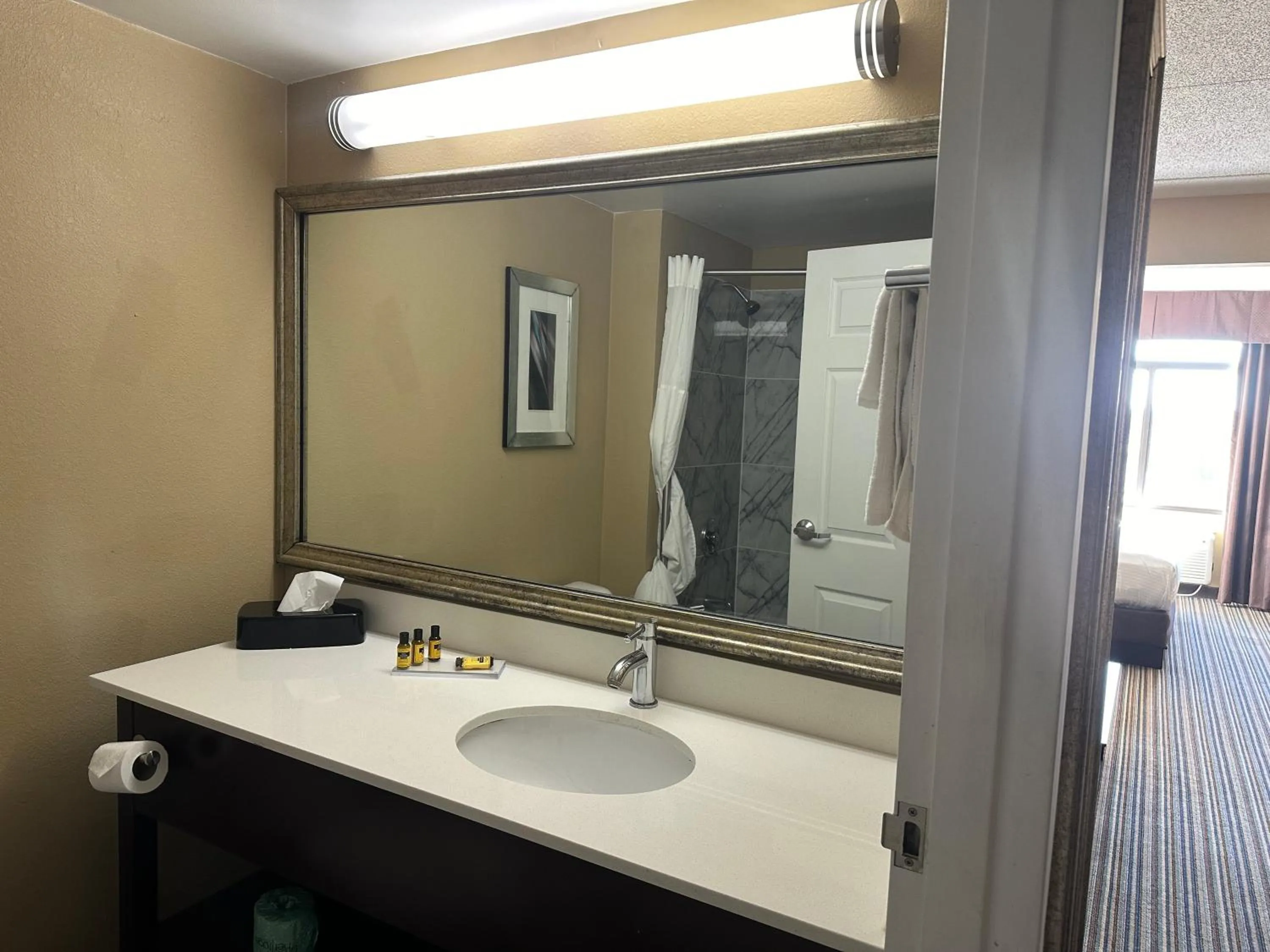 Bathroom in Wingate by Wyndham Harrisburg Near Hershey