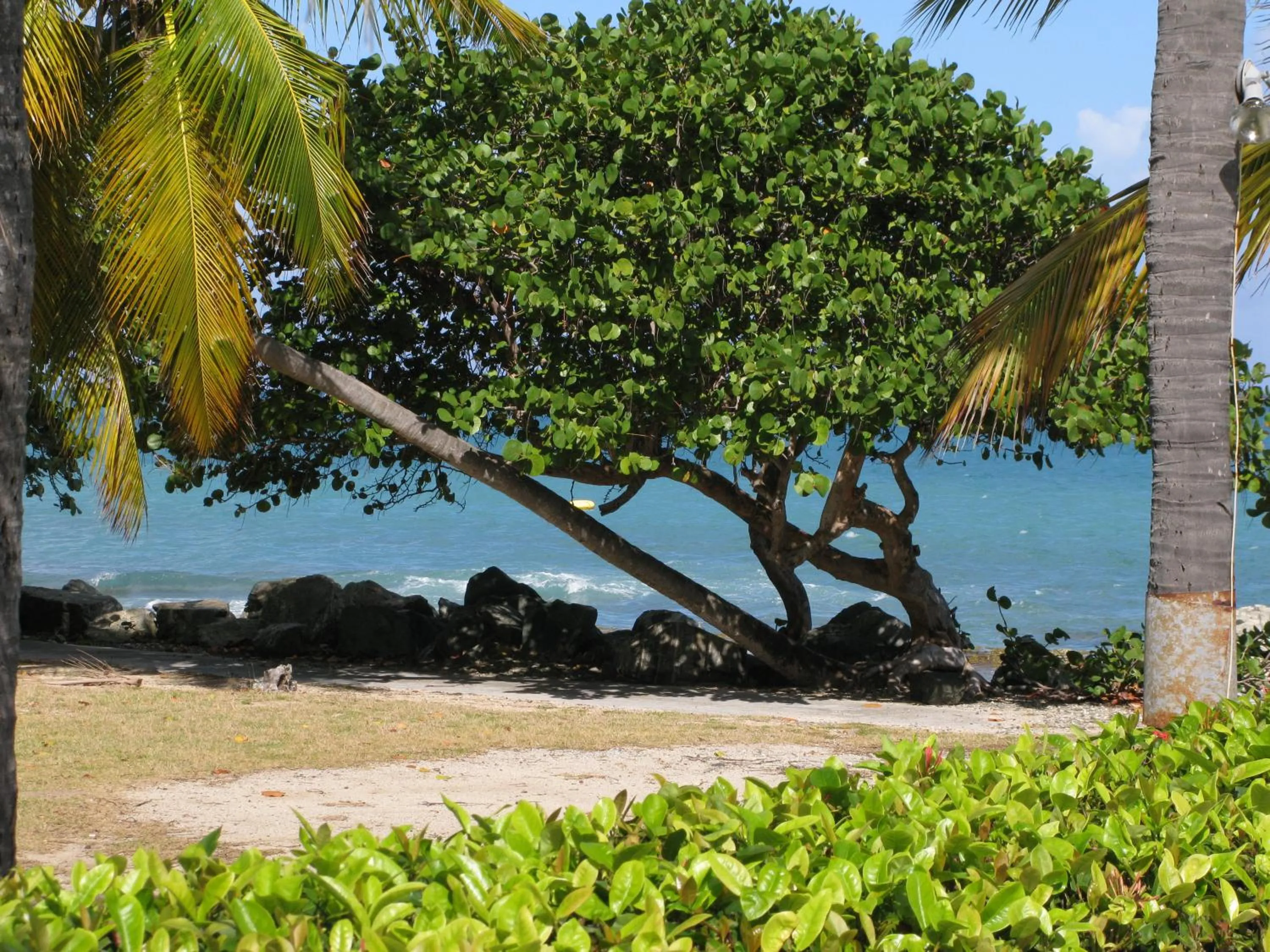 Sea view in Tamarind Reef Resort Spa & Marina