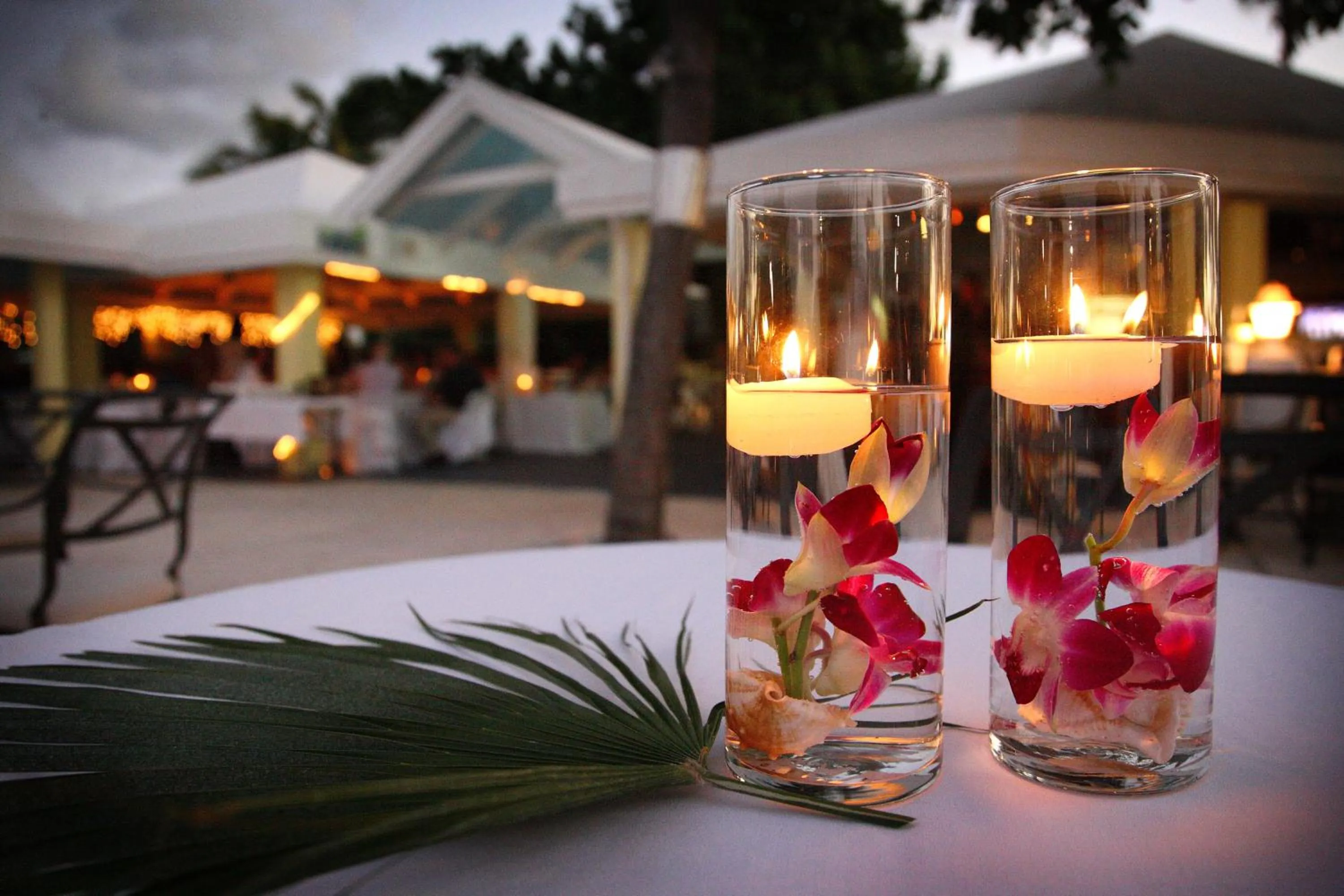 Restaurant/places to eat in Tamarind Reef Resort Spa & Marina