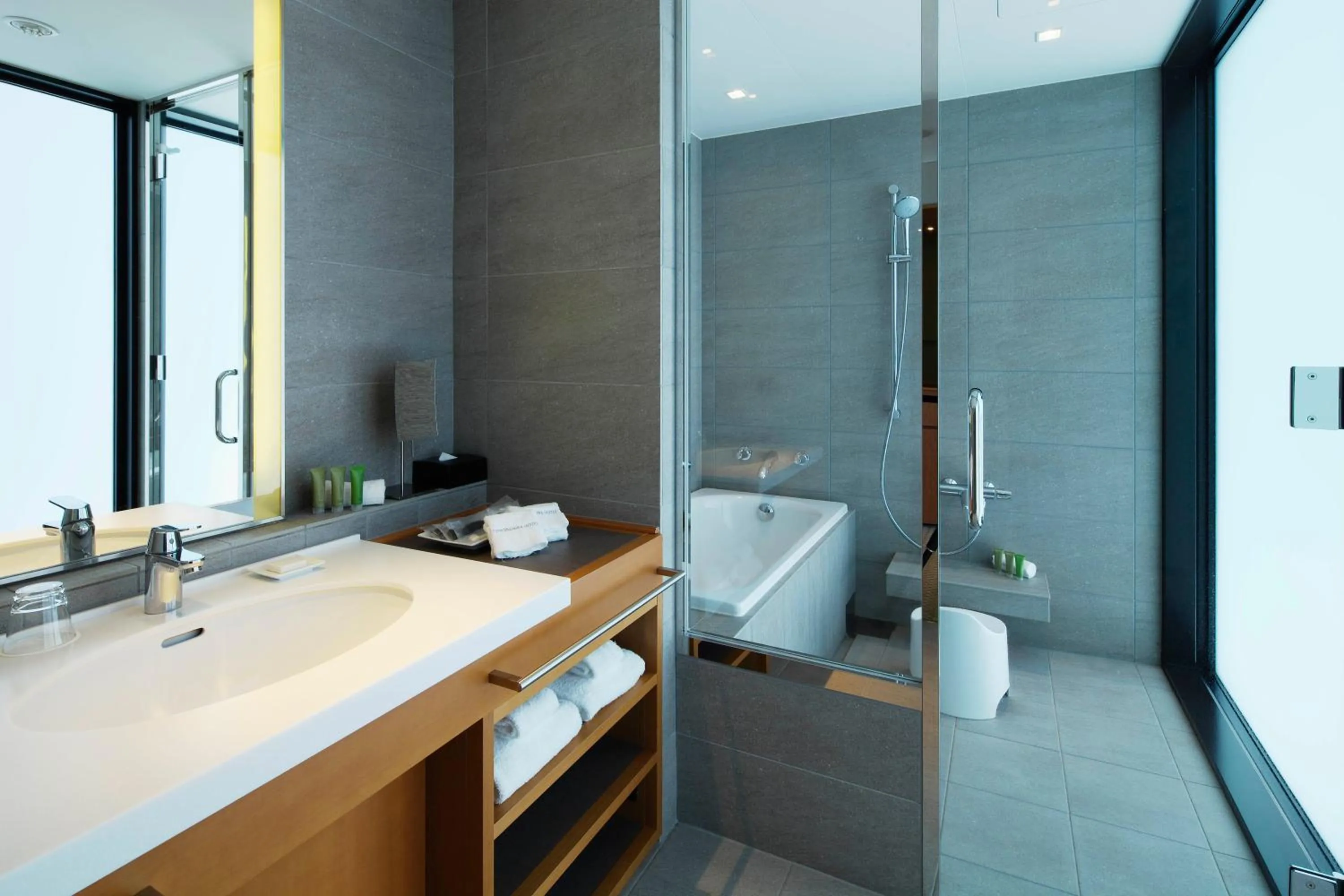 Bathroom in Nippondaira Hotel