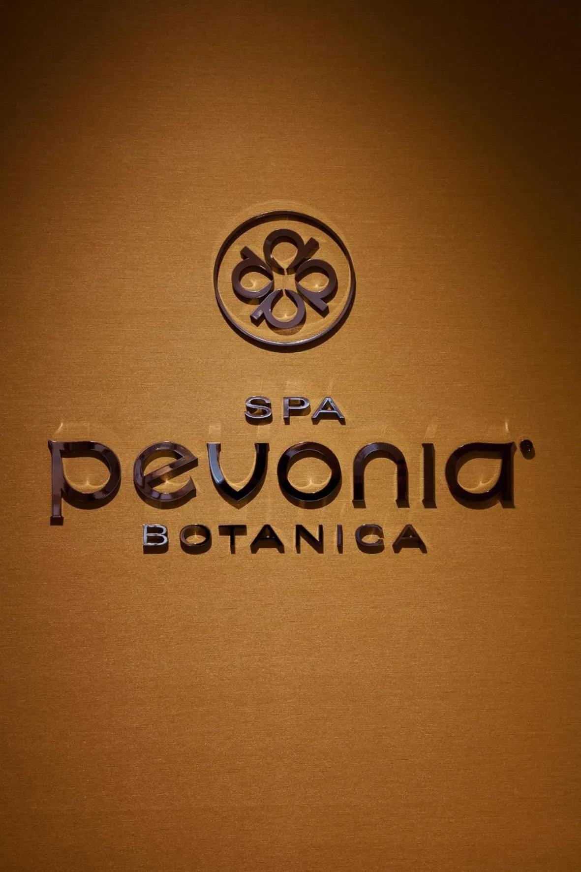 Spa and wellness centre/facilities in Nippondaira Hotel