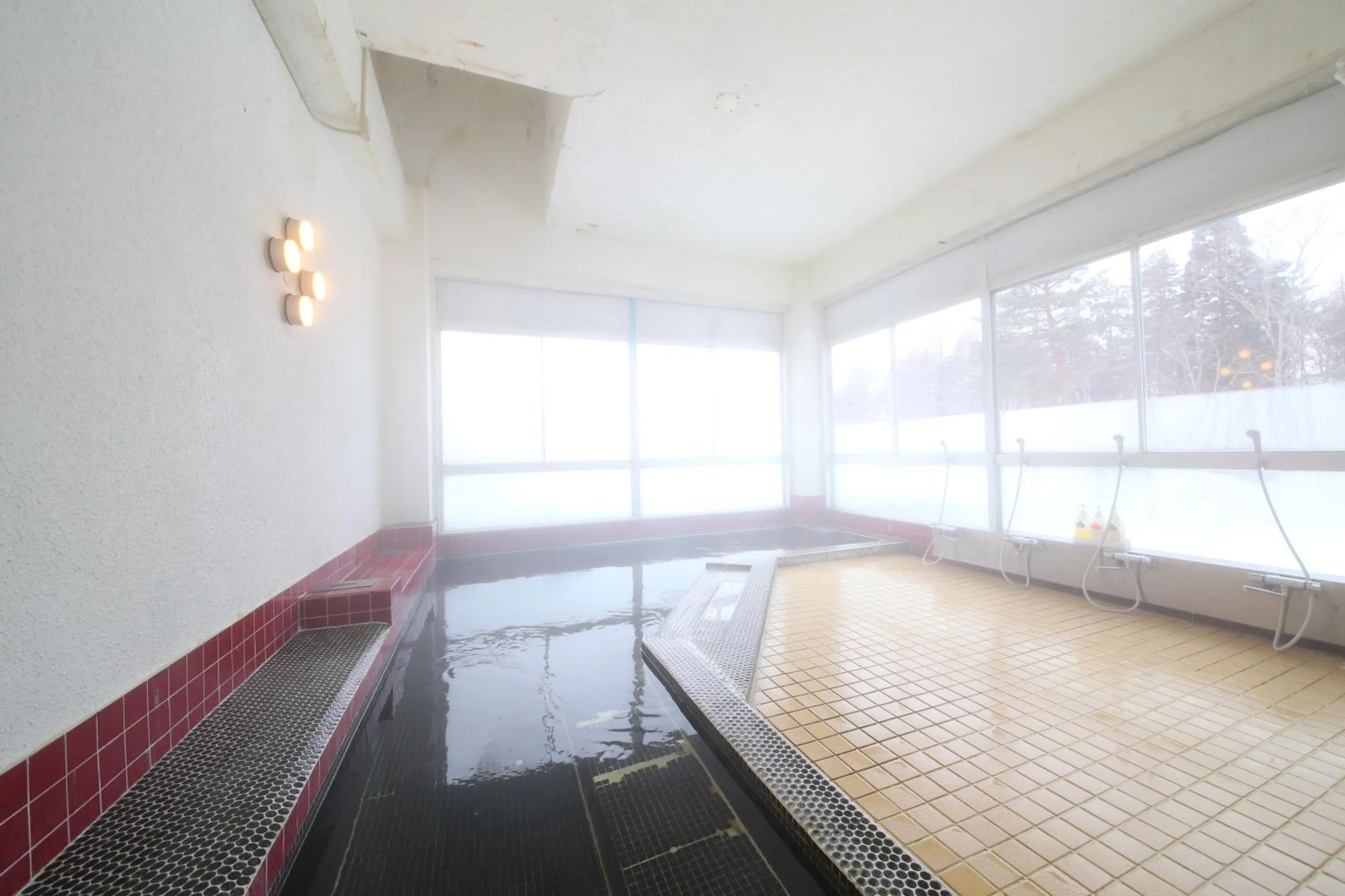 Public Bath in Hotel Tagawa