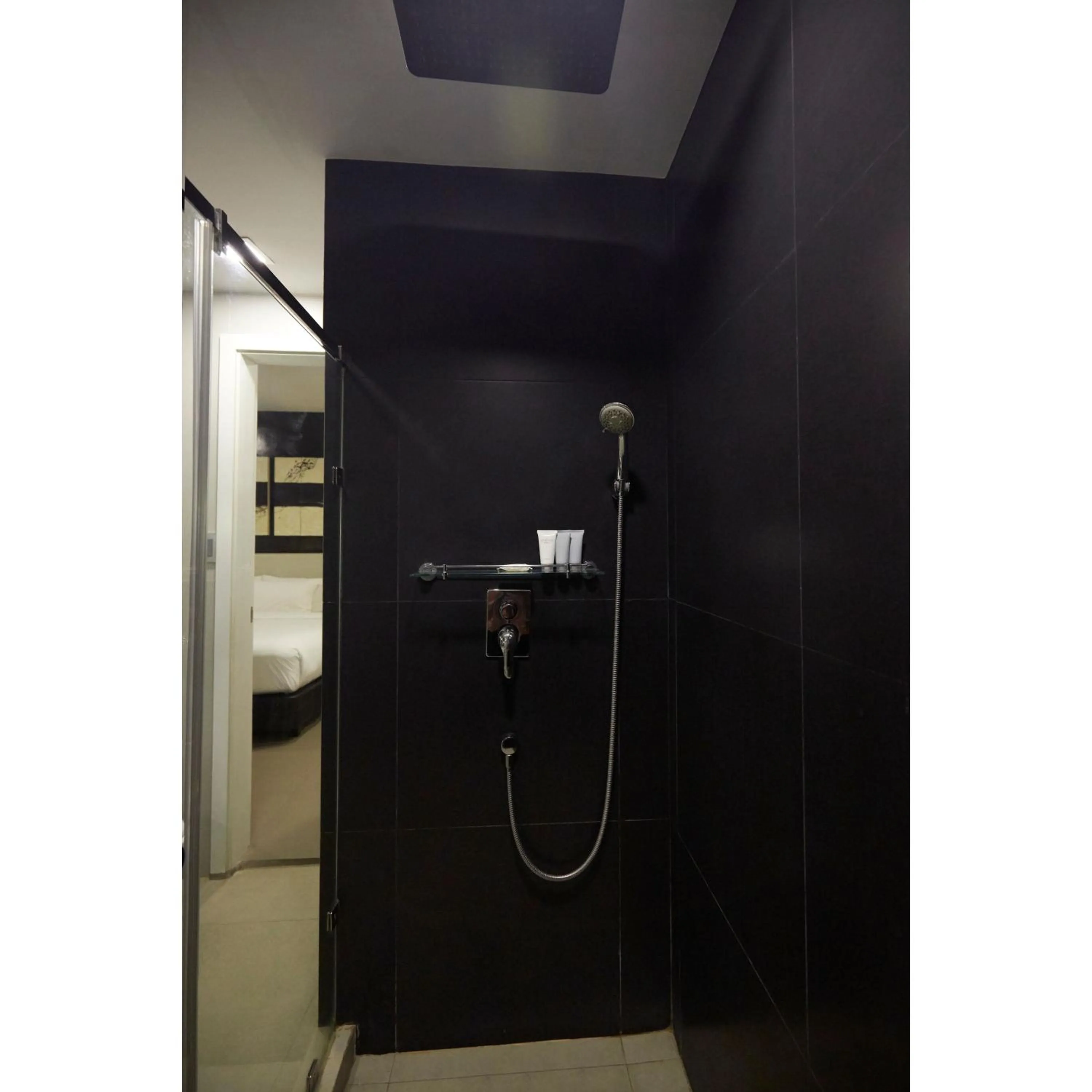 Shower in Summit Hotel Magnolia