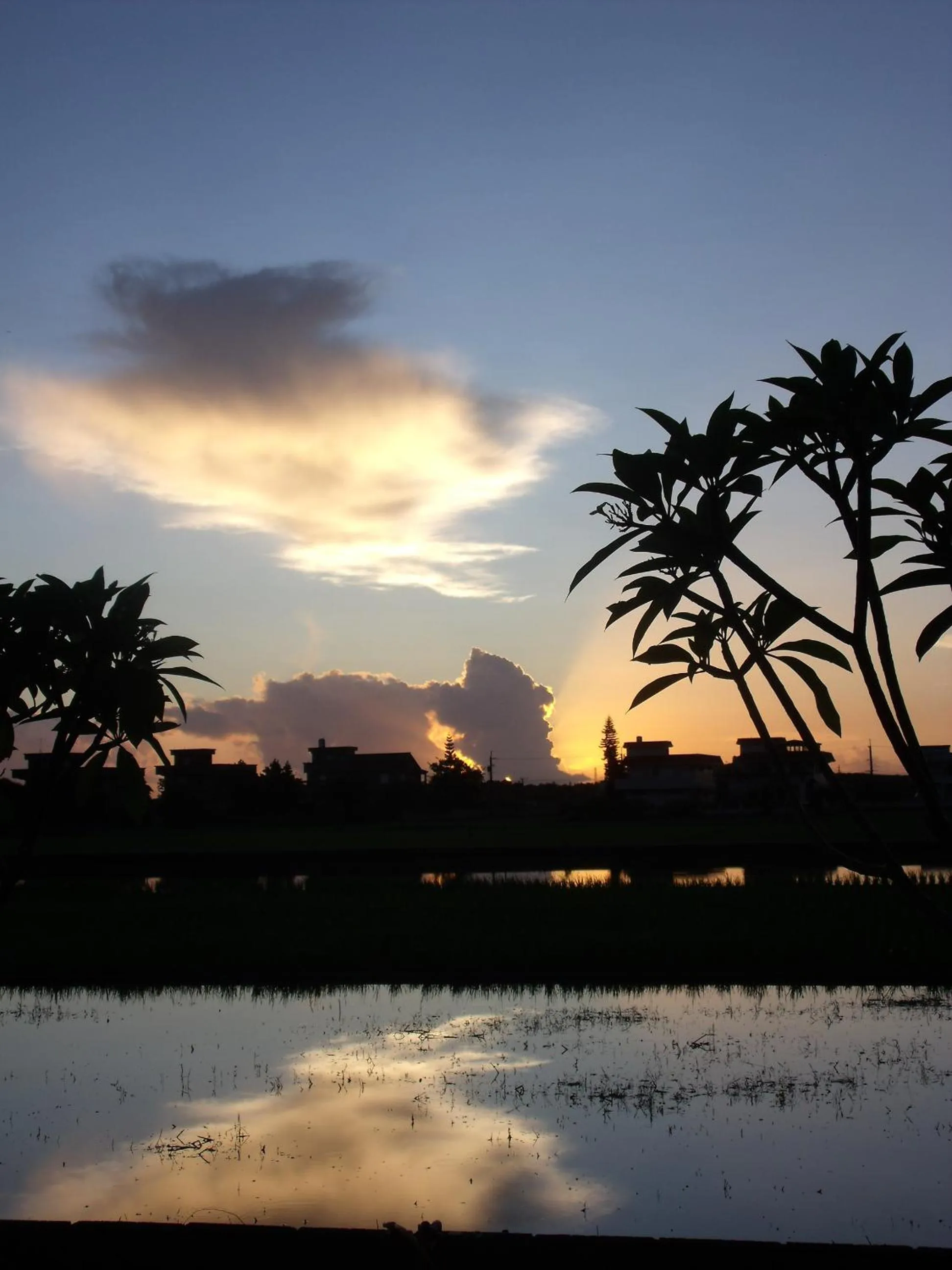 Winter in Lan Yang Resort Four Seasons