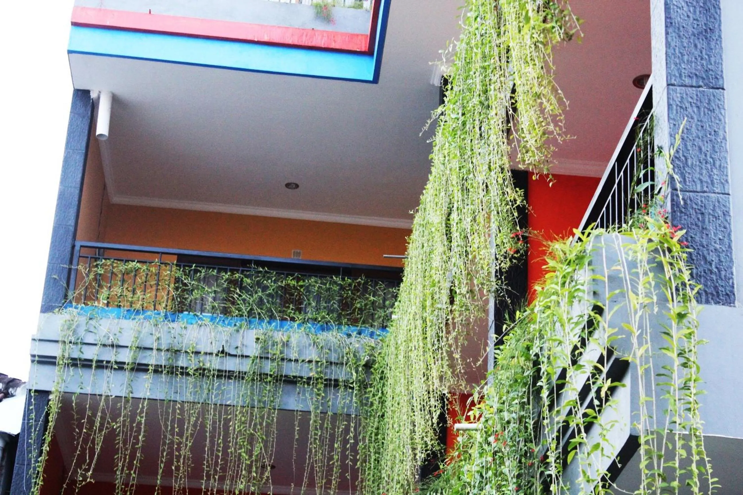 Garden in Rena Segara House Kuta