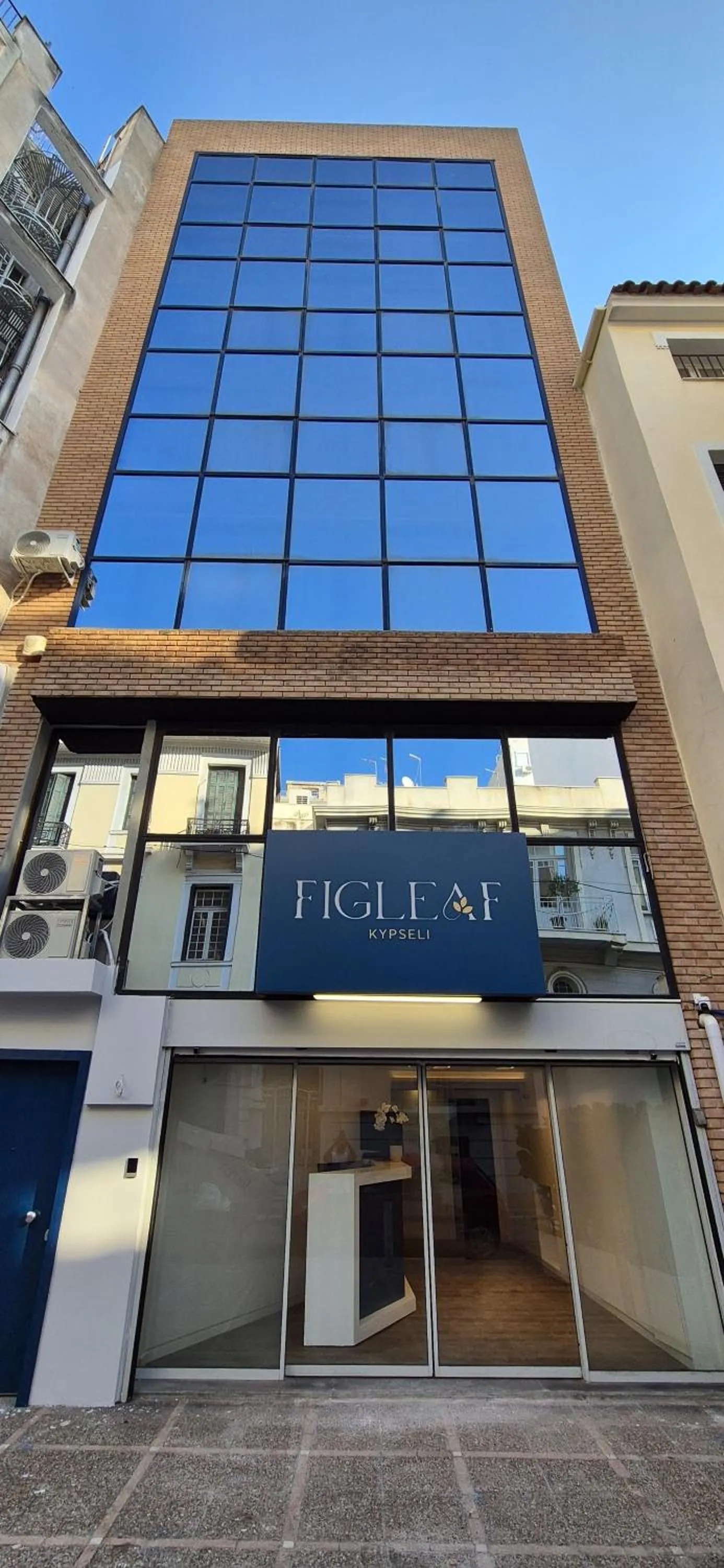 Property building in Figleaf Kypseli